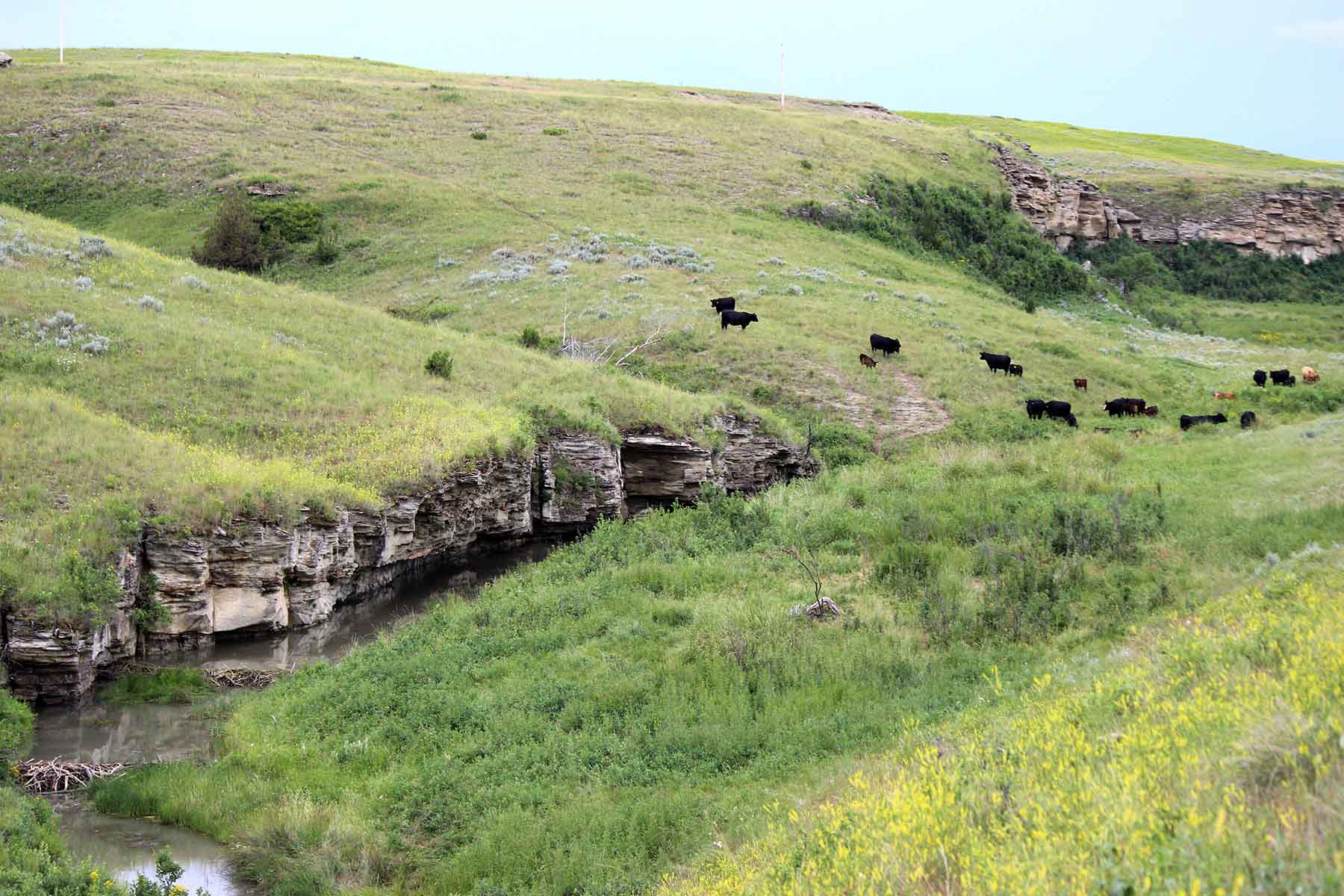 C/N Ranch property picture 19 of 55