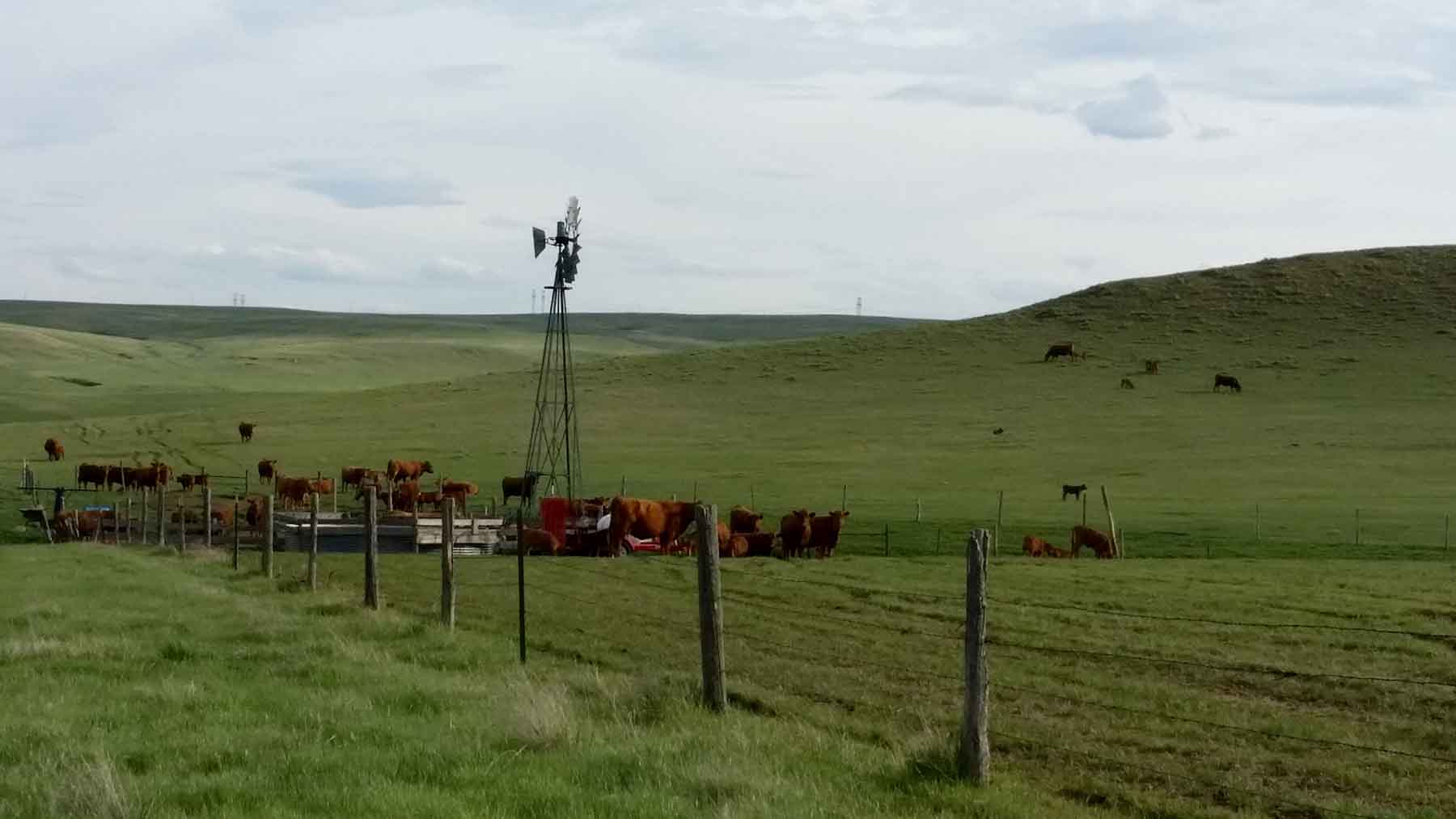 C/N Ranch property picture 38 of 55