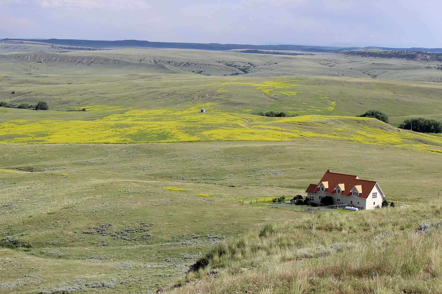C/N Ranch property picture 5 of 55