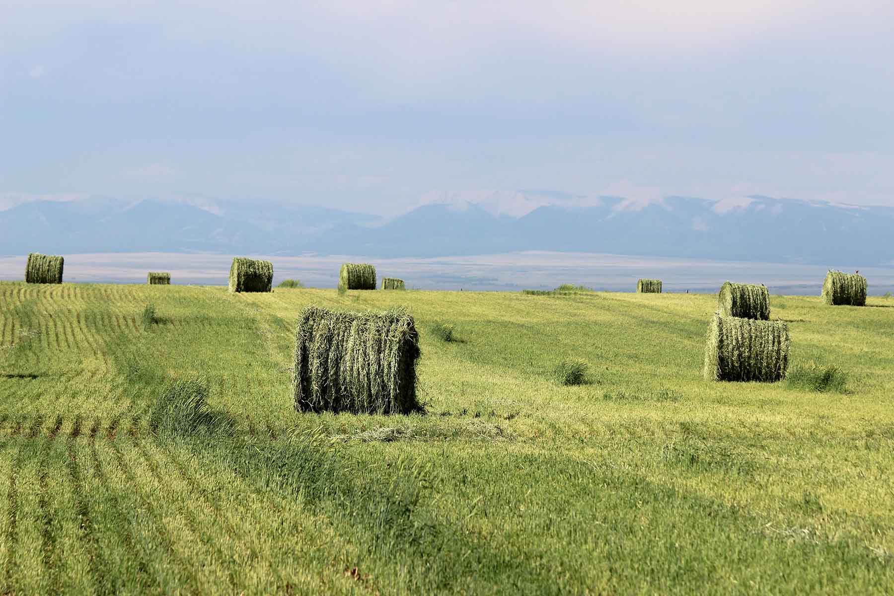 C/N Ranch property picture 33 of 55