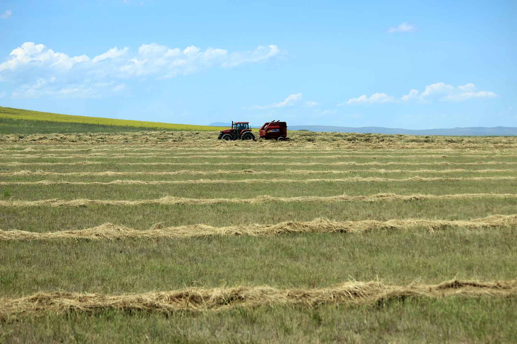 C/N Ranch property picture 40 of 55