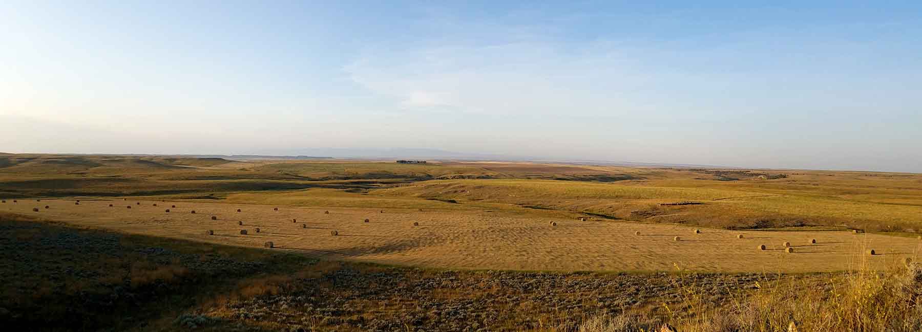 C/N Ranch property picture 21 of 55