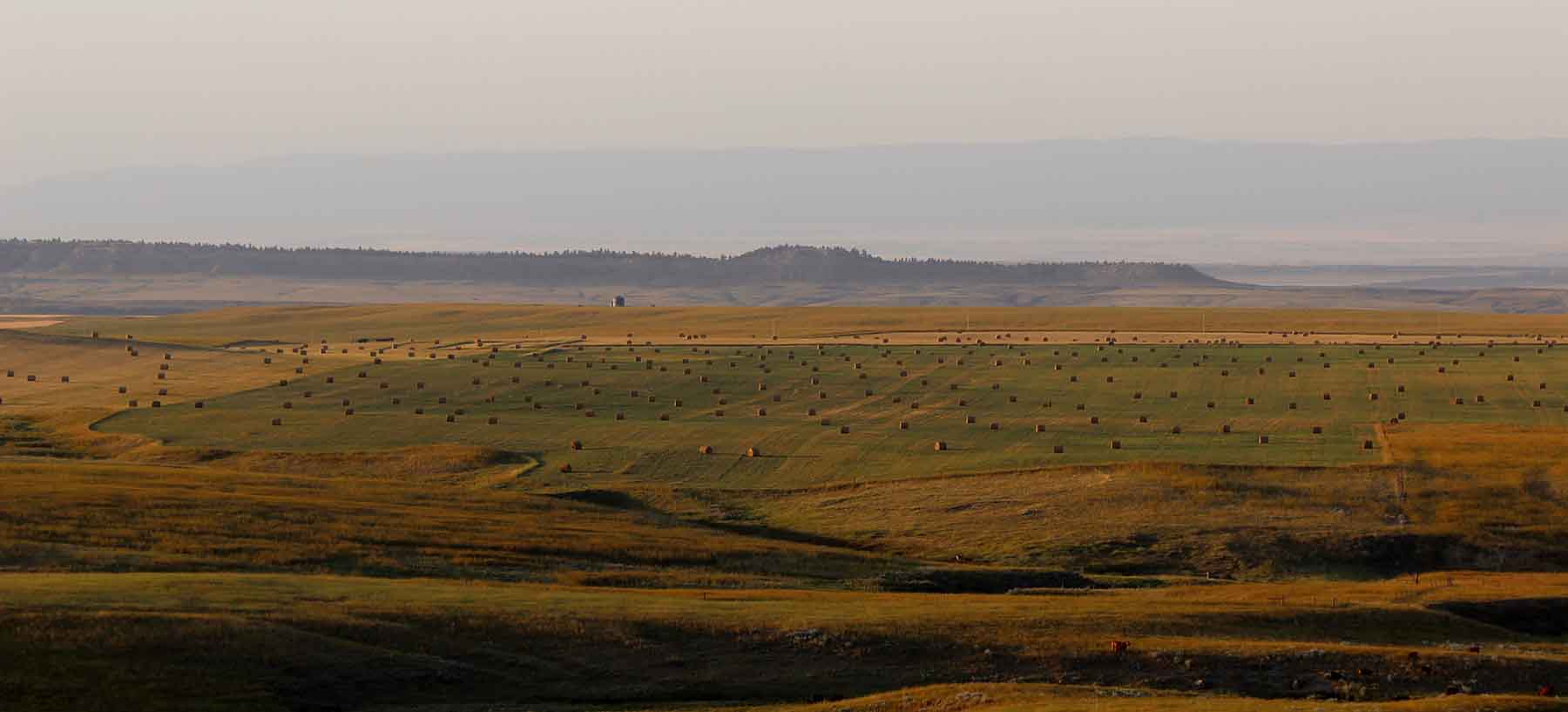 C/N Ranch property picture 29 of 55