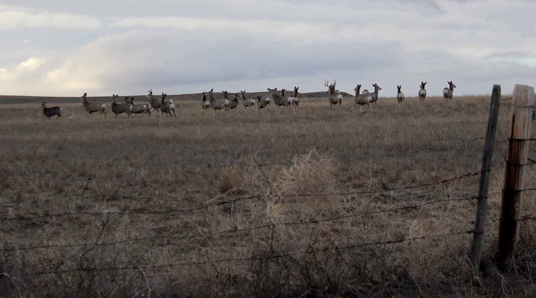 C/N Ranch property picture 45 of 55