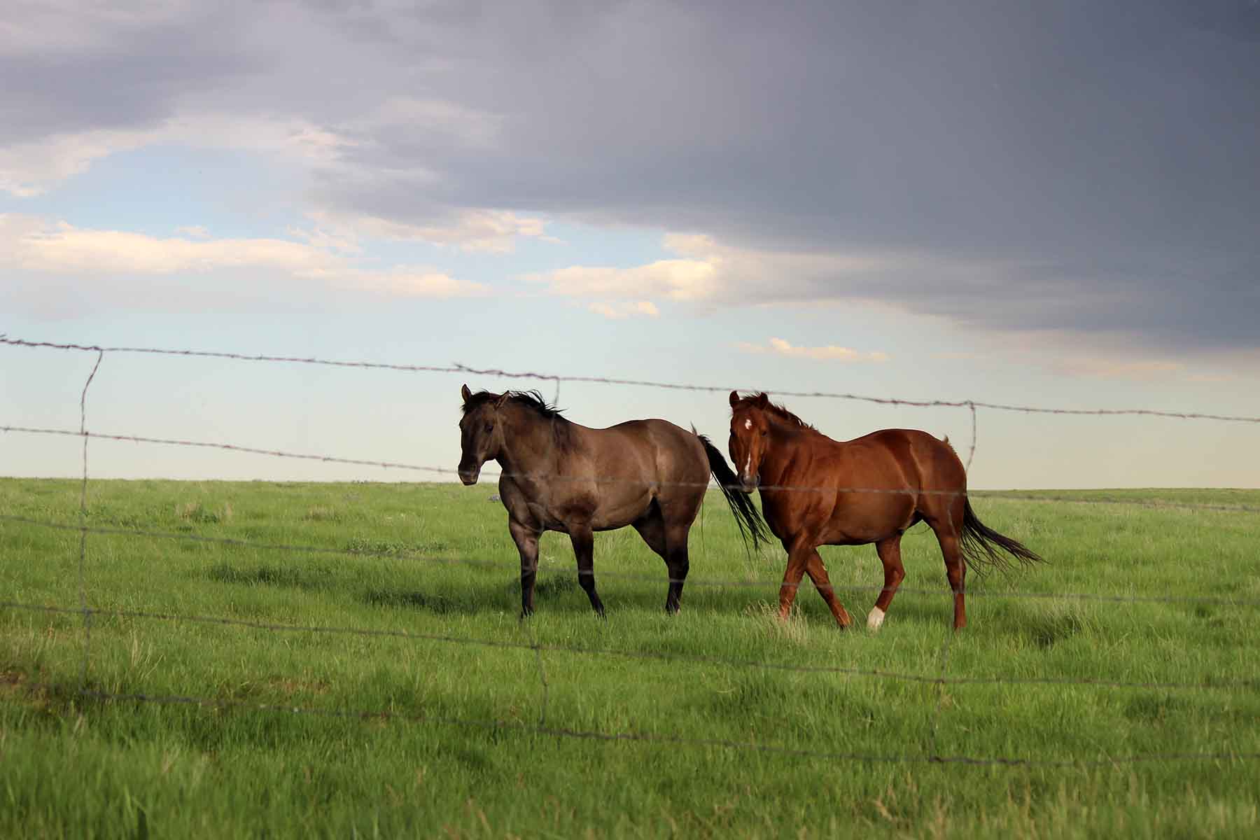 C/N Ranch property picture 46 of 55
