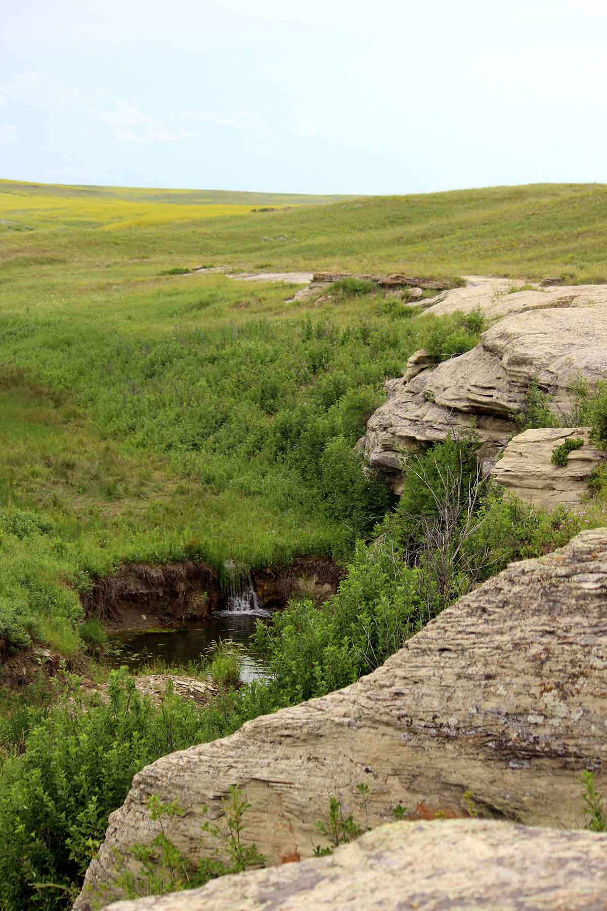 C/N Ranch property picture 28 of 55