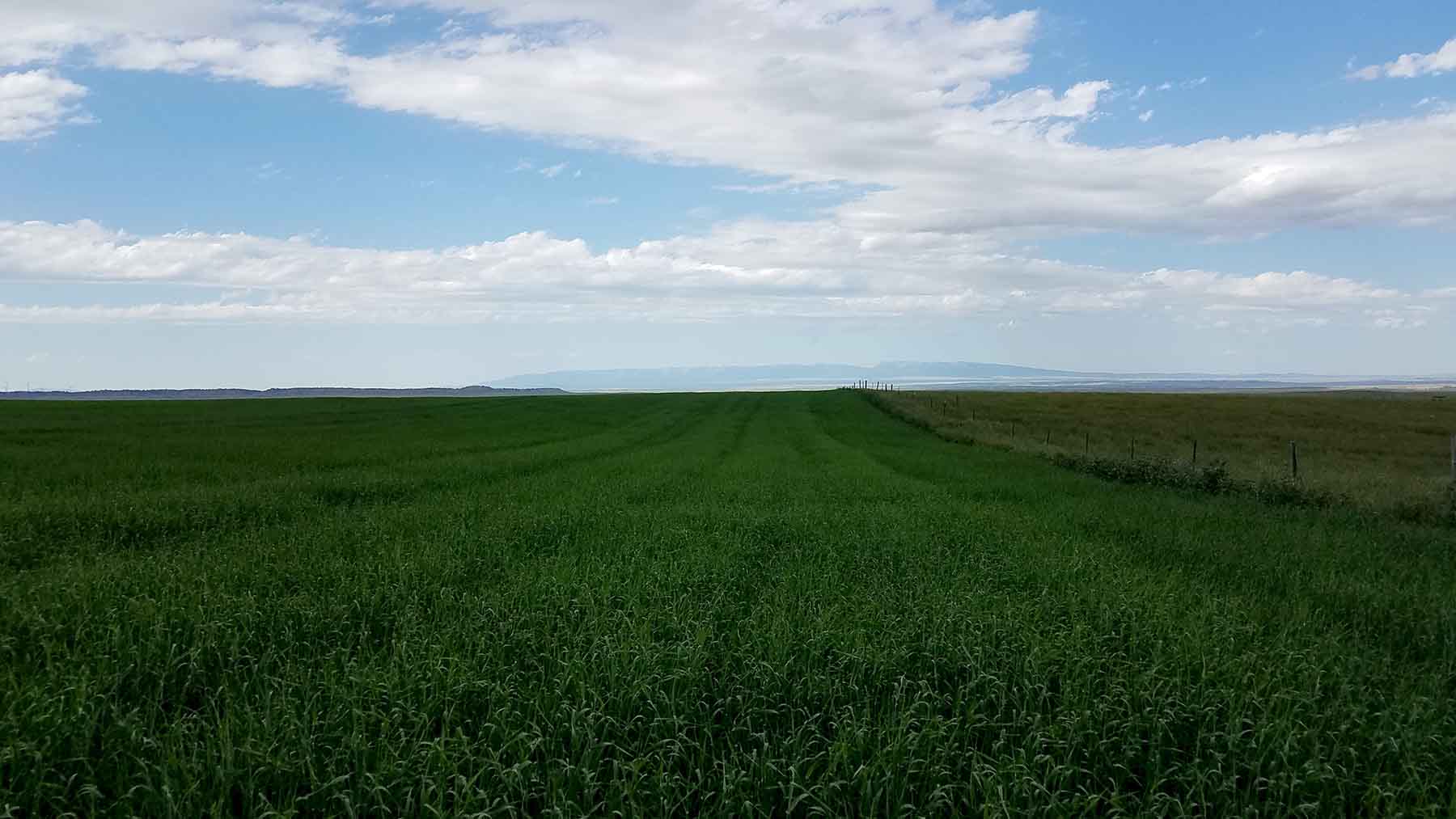 C/N Ranch property picture 31 of 55