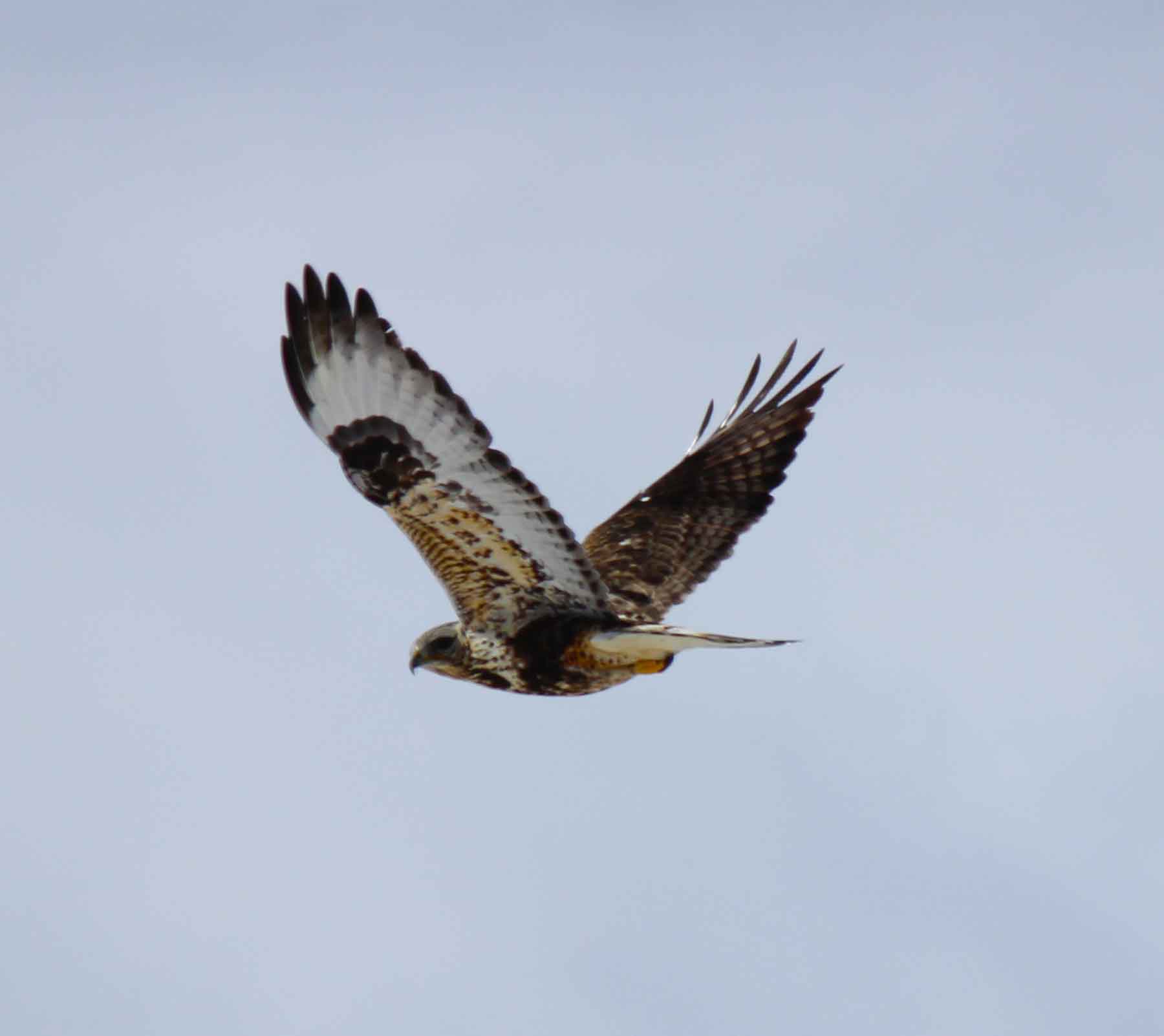 C/N Ranch property picture 52 of 55