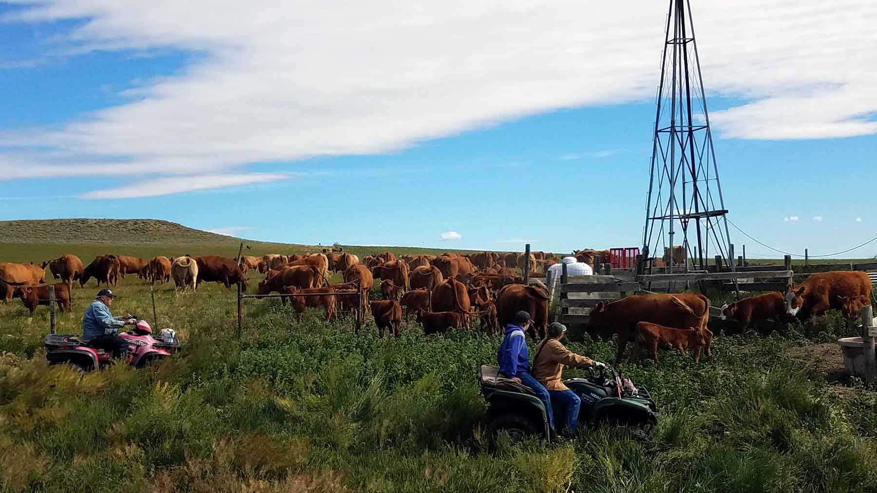 C/N Ranch property picture 15 of 55