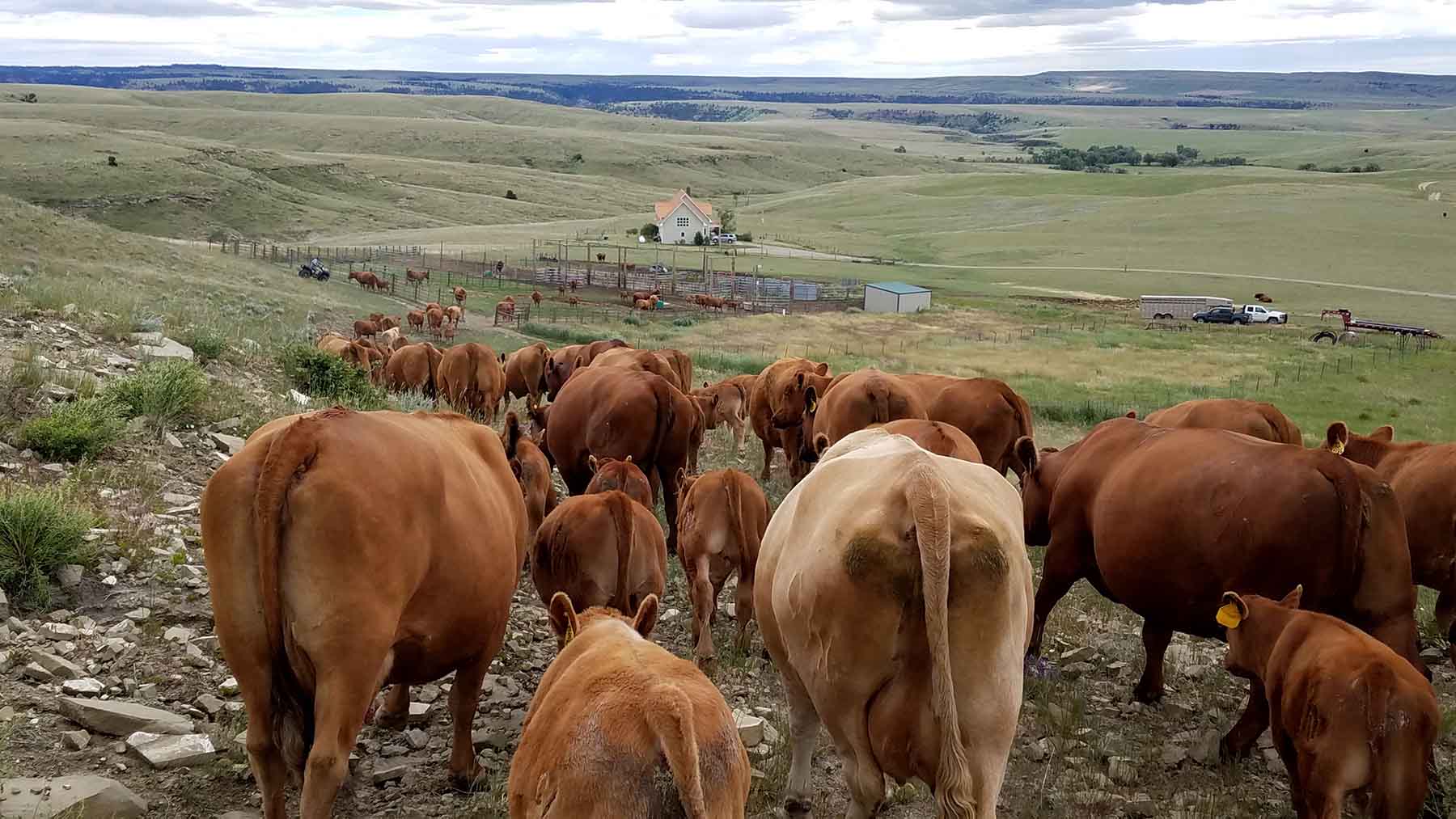 C/N Ranch property picture 10 of 55