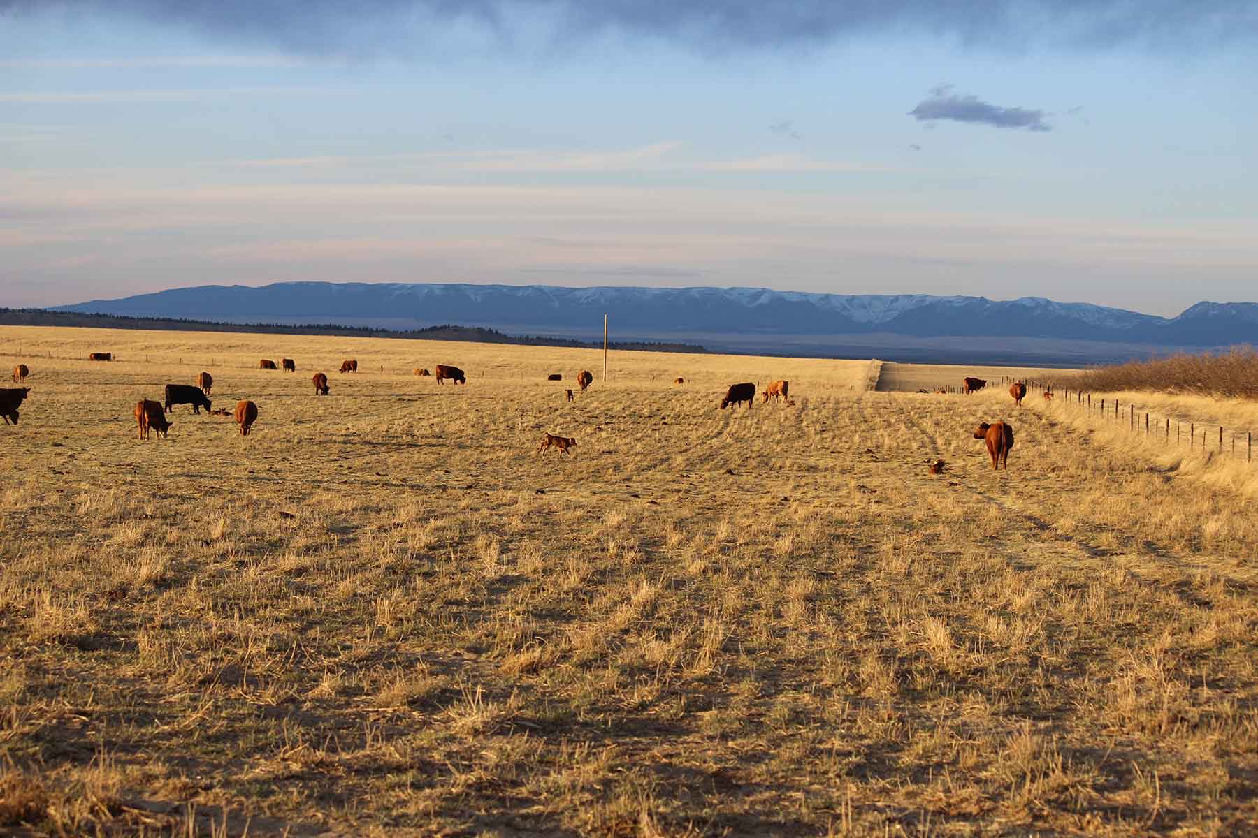 C/N Ranch property picture 9 of 55