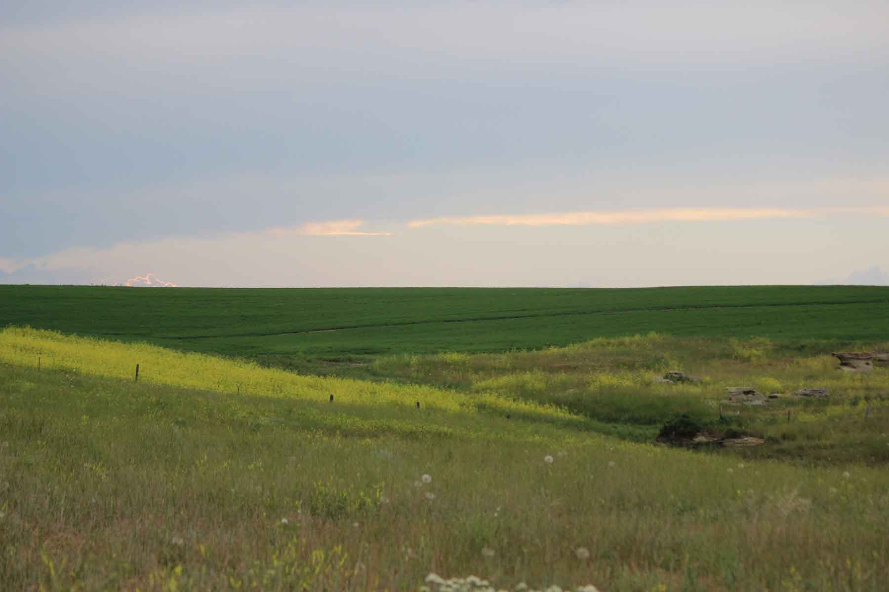 C/N Ranch property picture 42 of 55