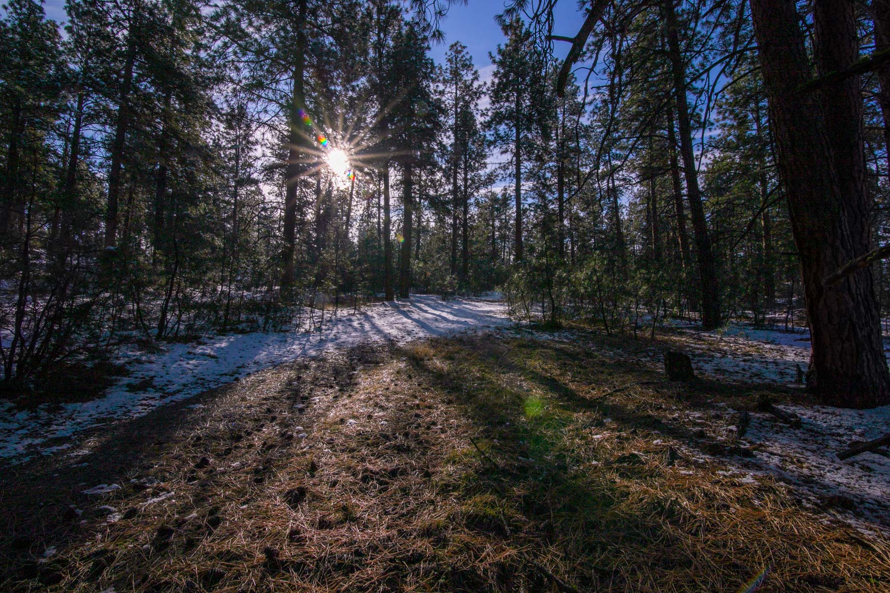 Weber Butte property picture 3 of 10