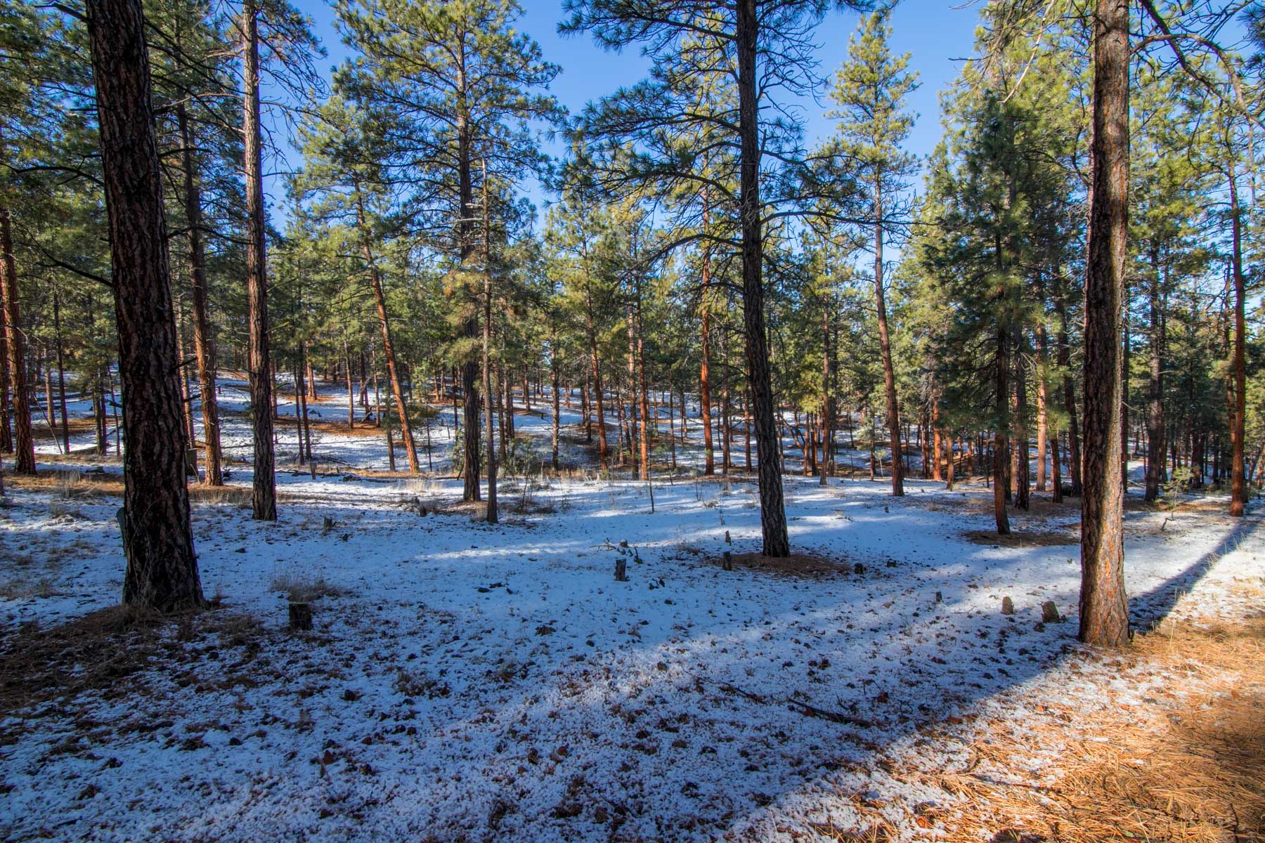 Weber Butte property picture 8 of 10