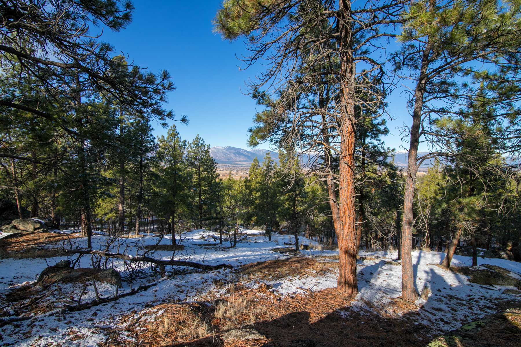 Weber Butte property picture 2 of 10