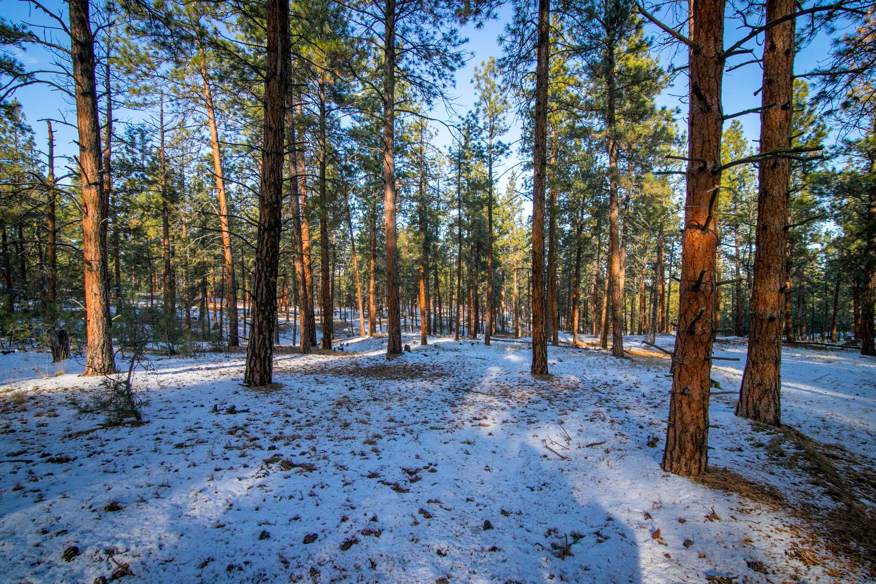 Weber Butte property picture 10 of 10