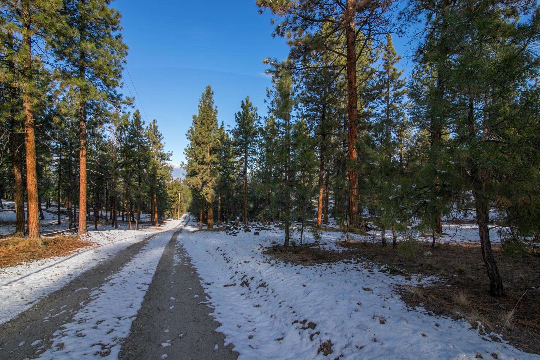 Weber Butte property picture 5 of 10