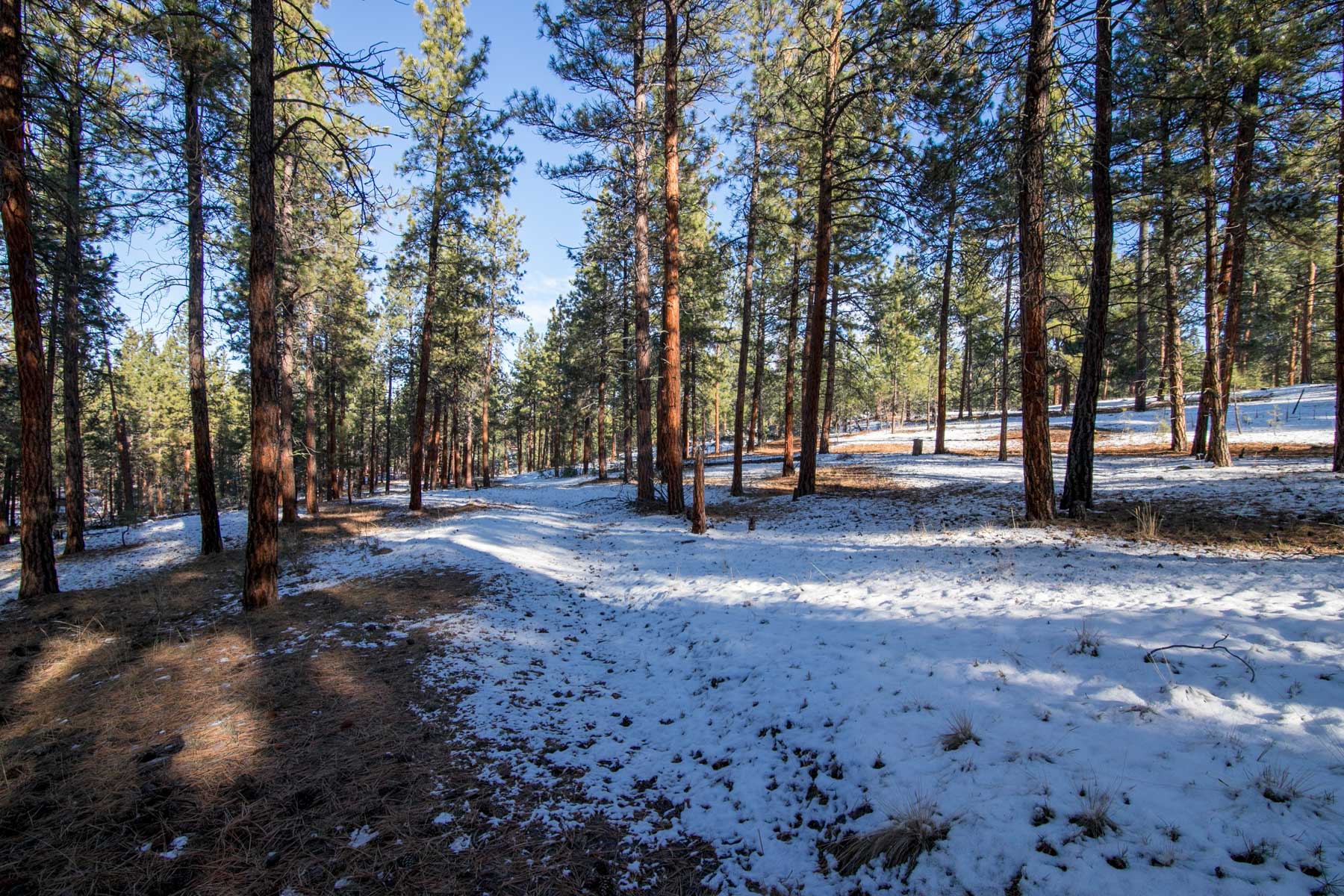 Weber Butte property picture 9 of 10