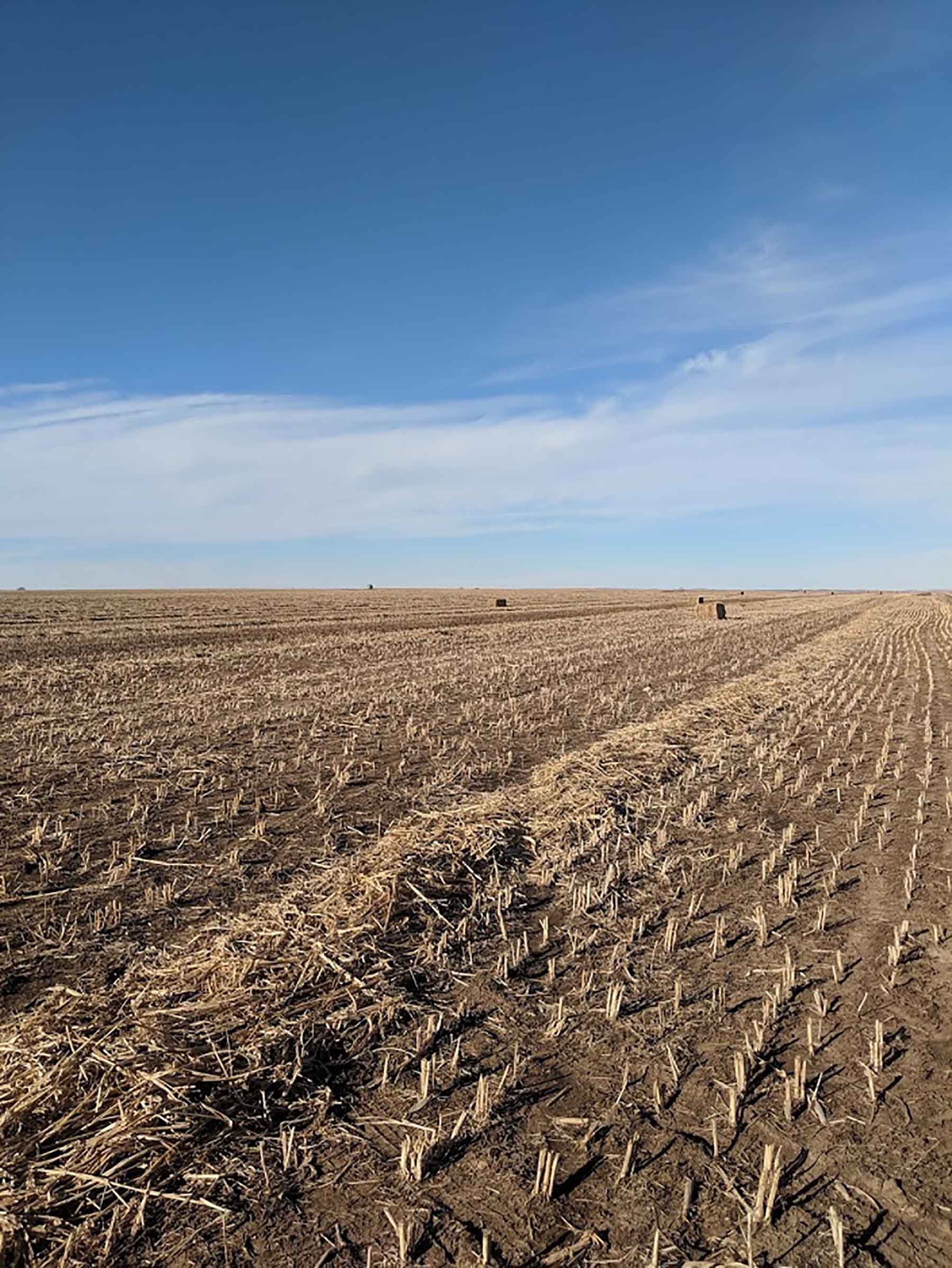 Conterra Ag Capital Farms property picture 3 of 7