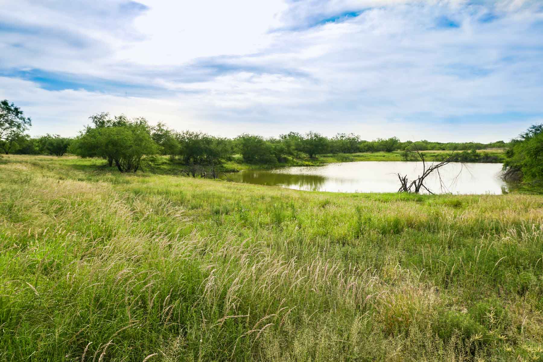 Quail Crossing Ranch property picture 16 of 37