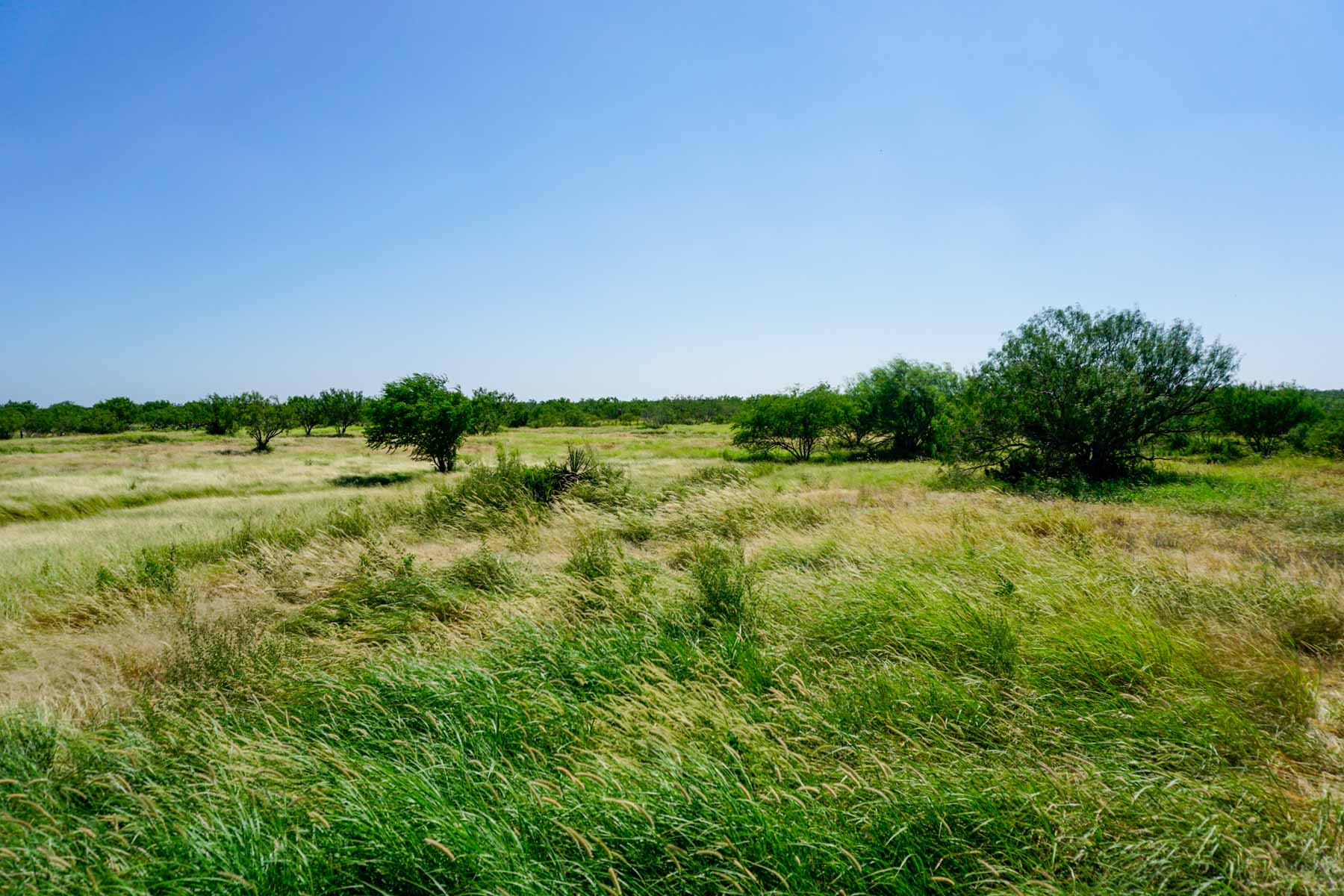 Quail Crossing Ranch property picture 22 of 37