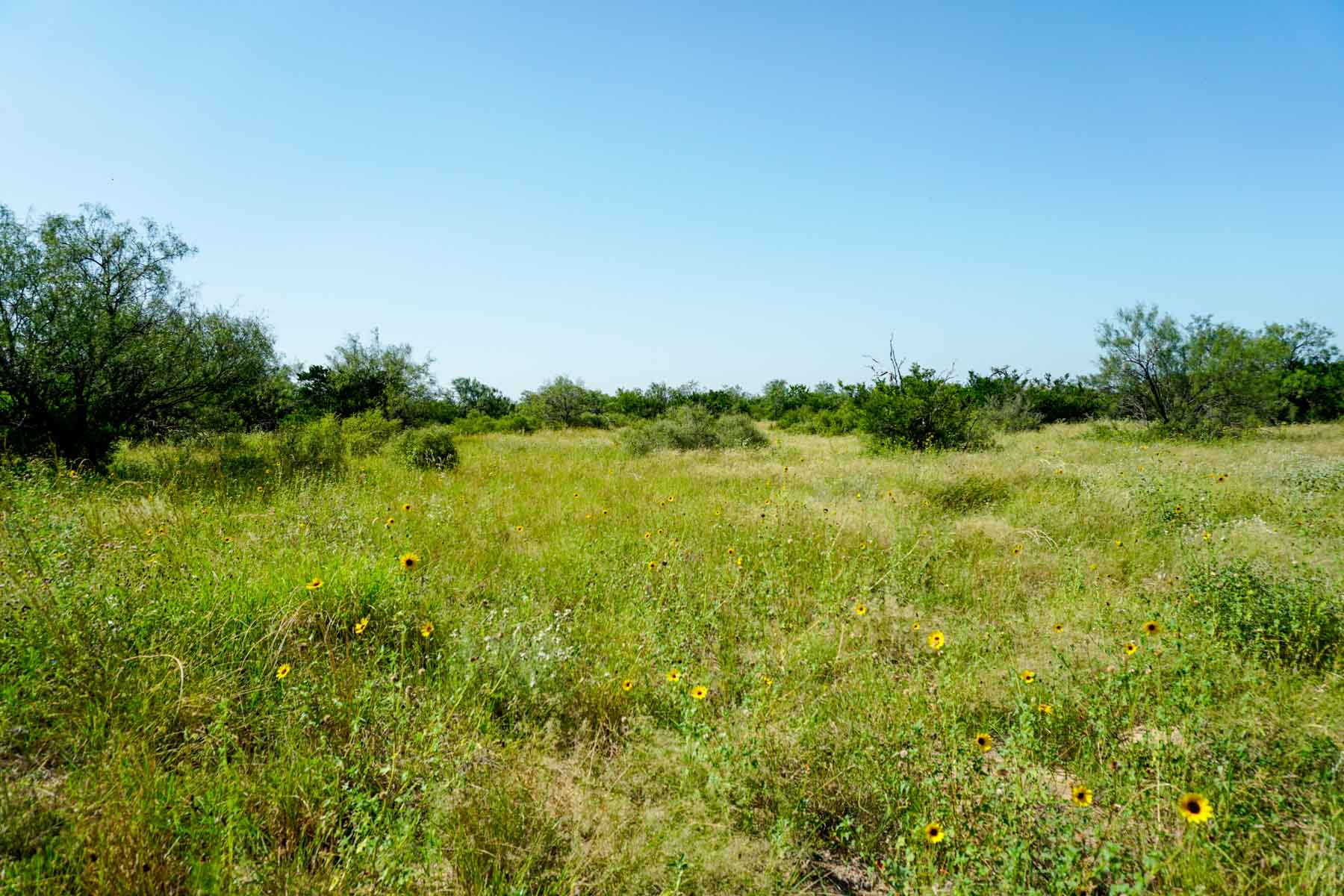 Quail Crossing Ranch property picture 23 of 37