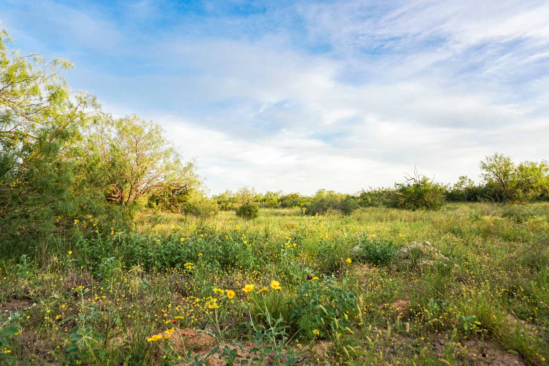 Quail Crossing Ranch property picture 34 of 37