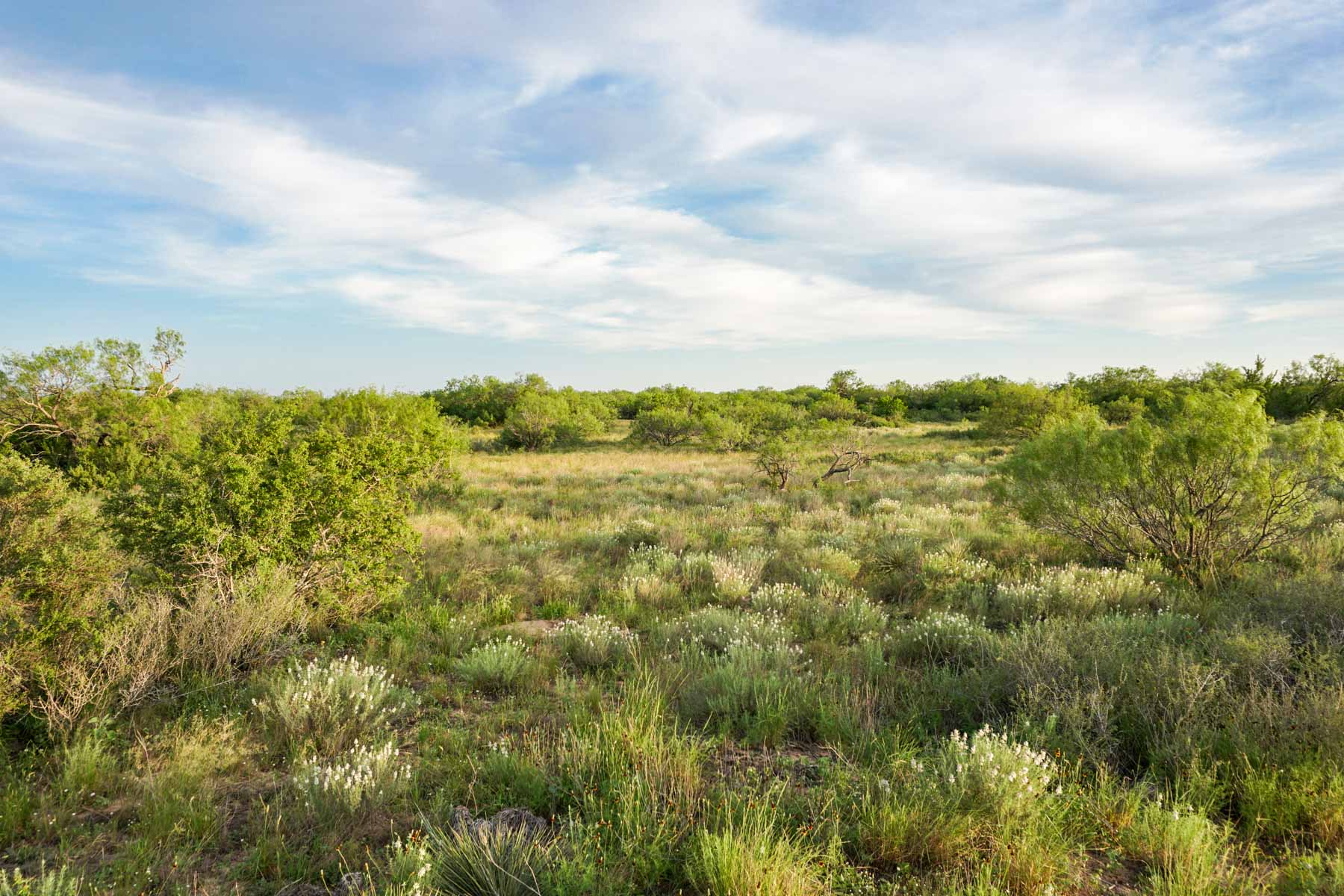 Quail Crossing Ranch property picture 35 of 37