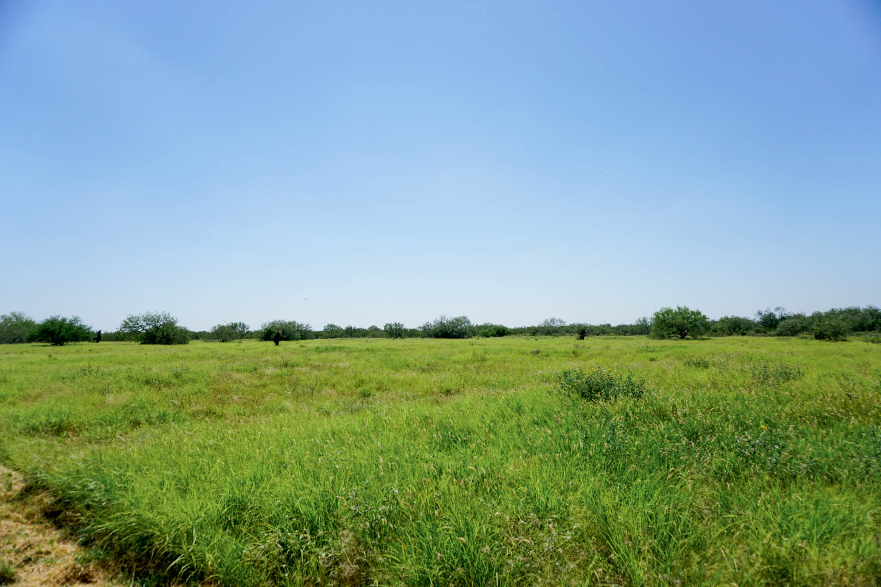 Quail Crossing Ranch property picture 18 of 37