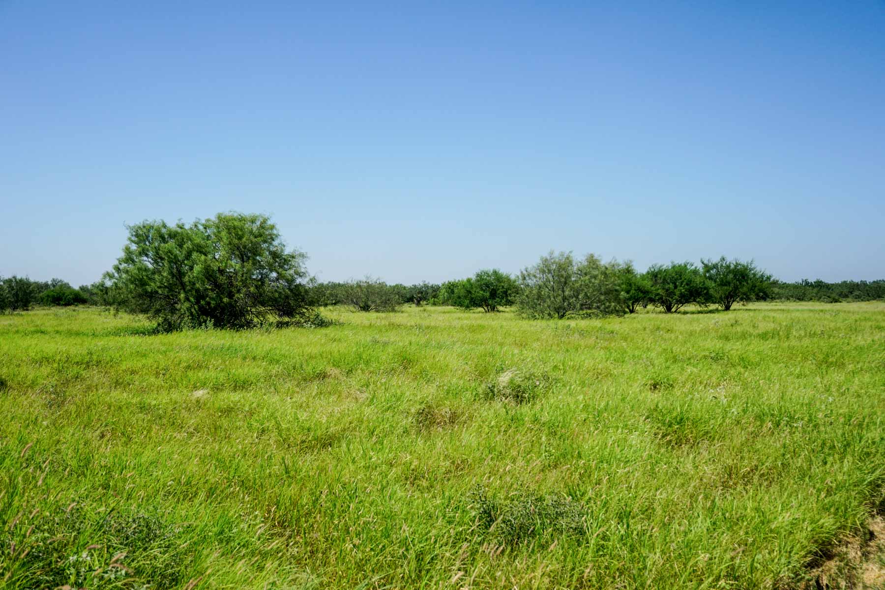 Quail Crossing Ranch property picture 28 of 37