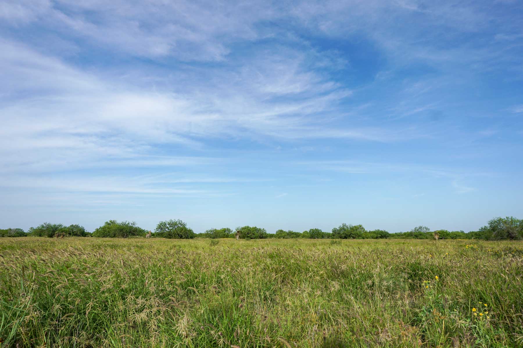 Quail Crossing Ranch property picture 8 of 37