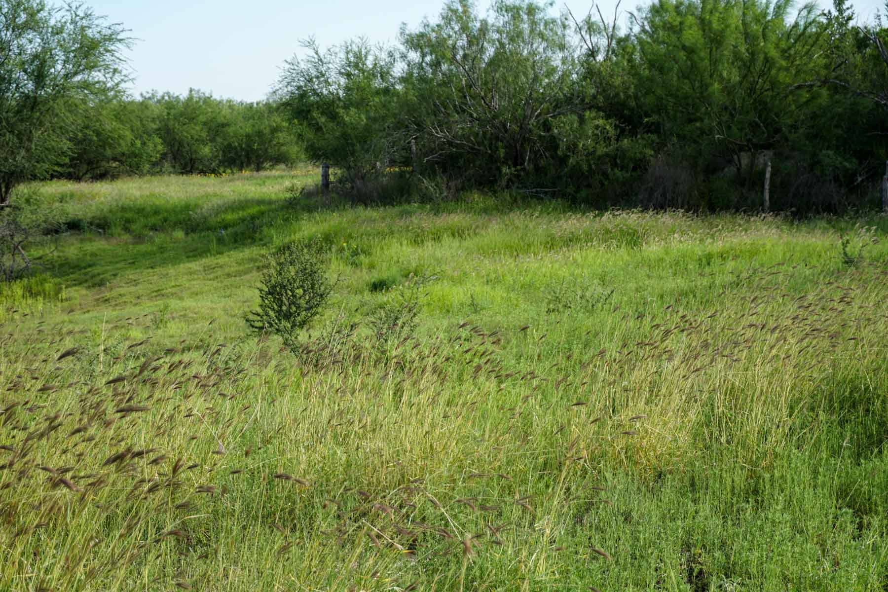 Quail Crossing Ranch property picture 15 of 37