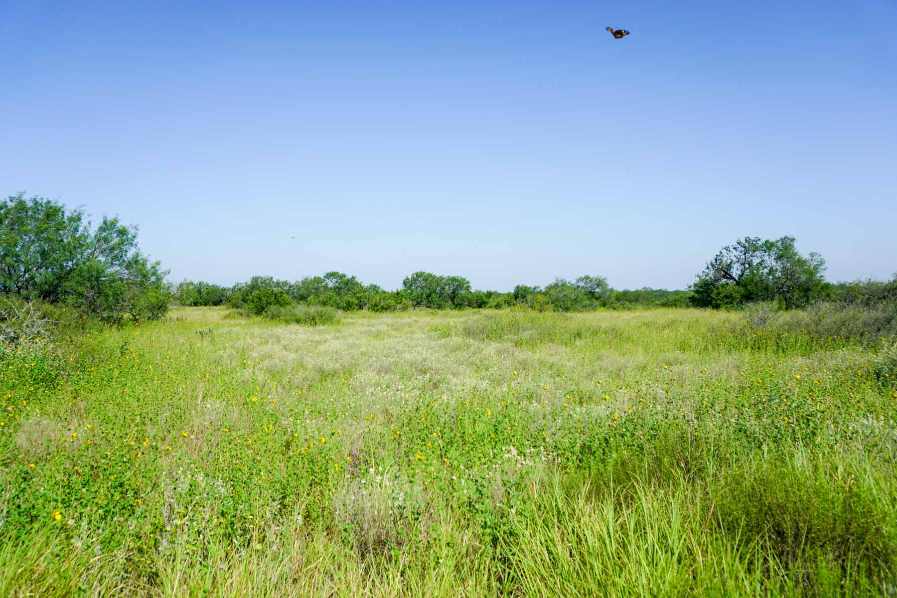 Quail Crossing Ranch property picture 26 of 37