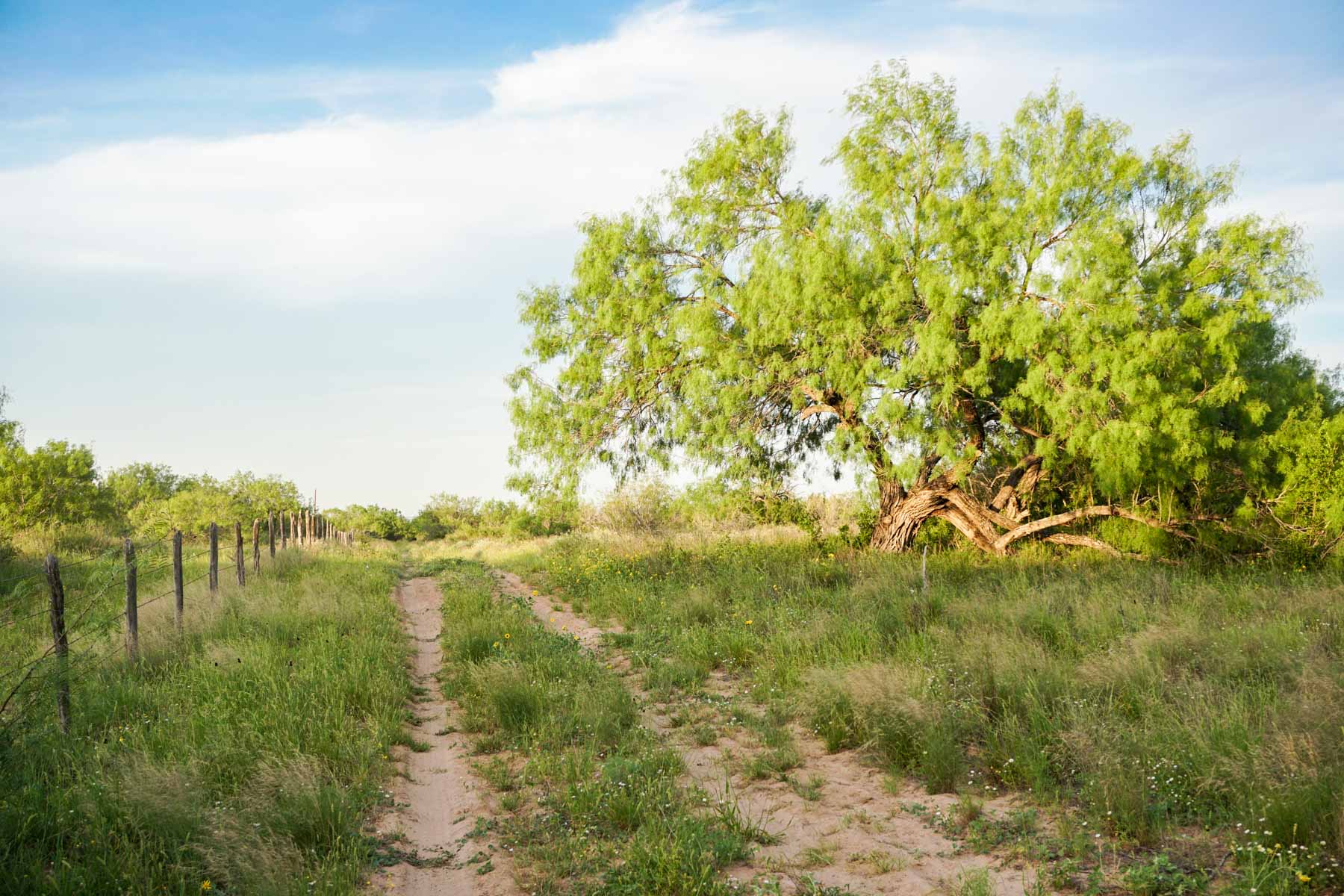 Quail Crossing Ranch Sold Texas Hall and Hall