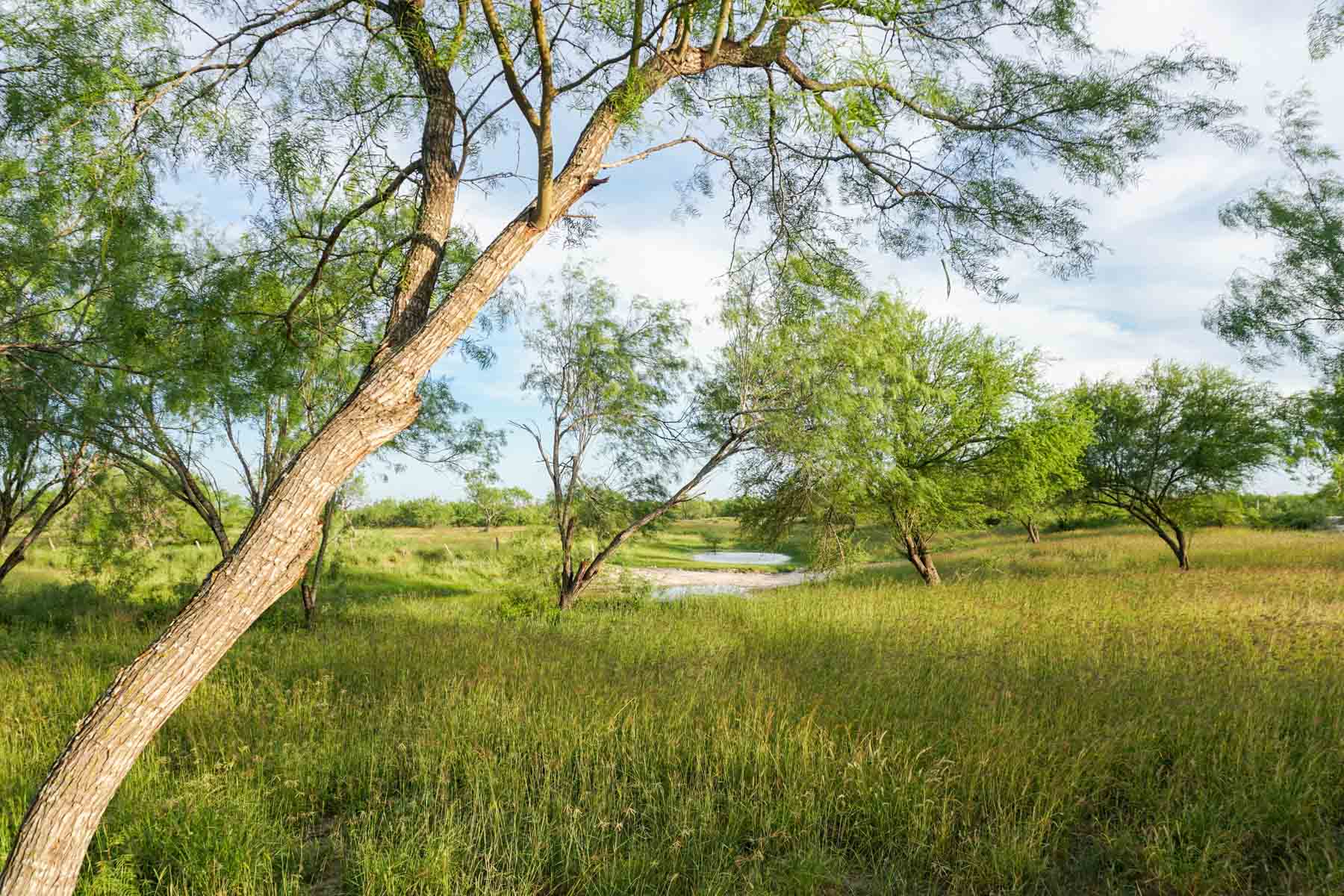 Quail Crossing Ranch property picture 5 of 37