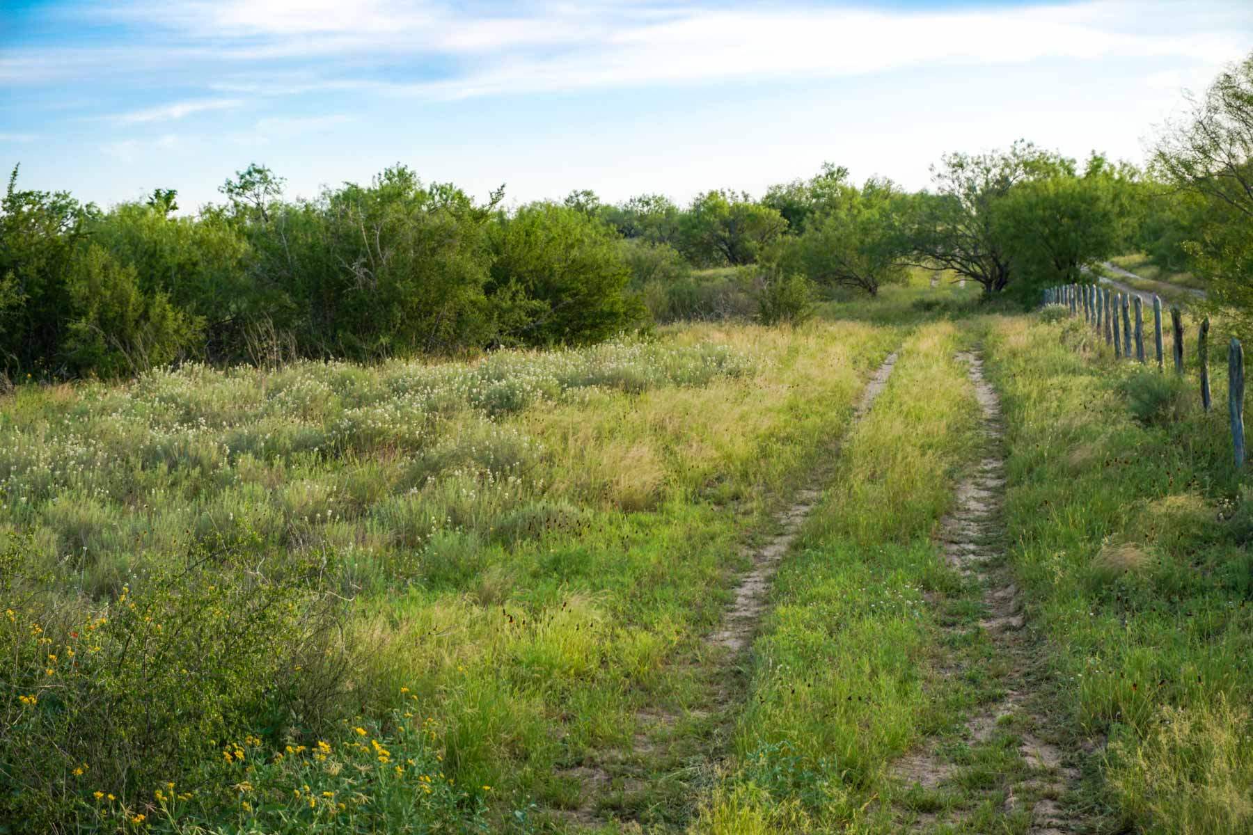 Quail Crossing Ranch Sold Texas Hall and Hall