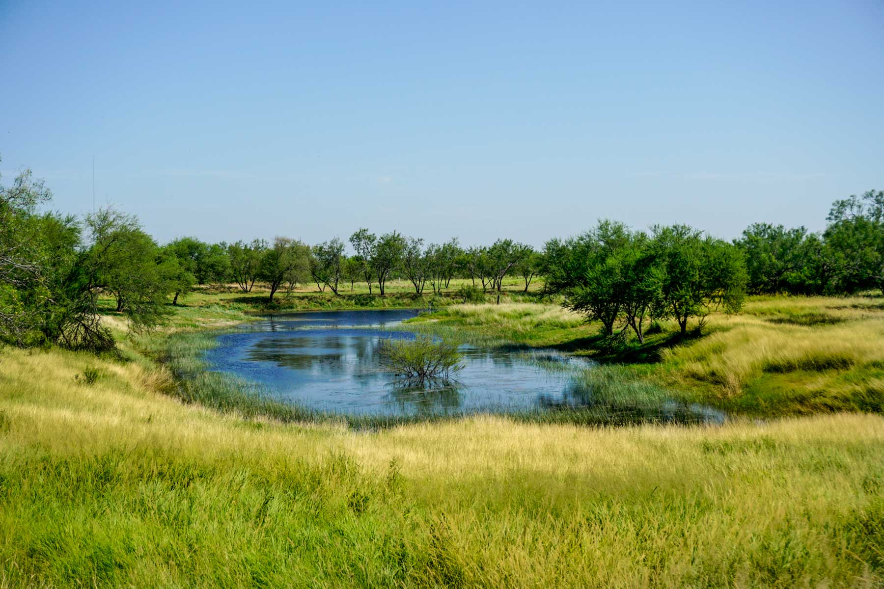 Quail Crossing Ranch property picture 24 of 37