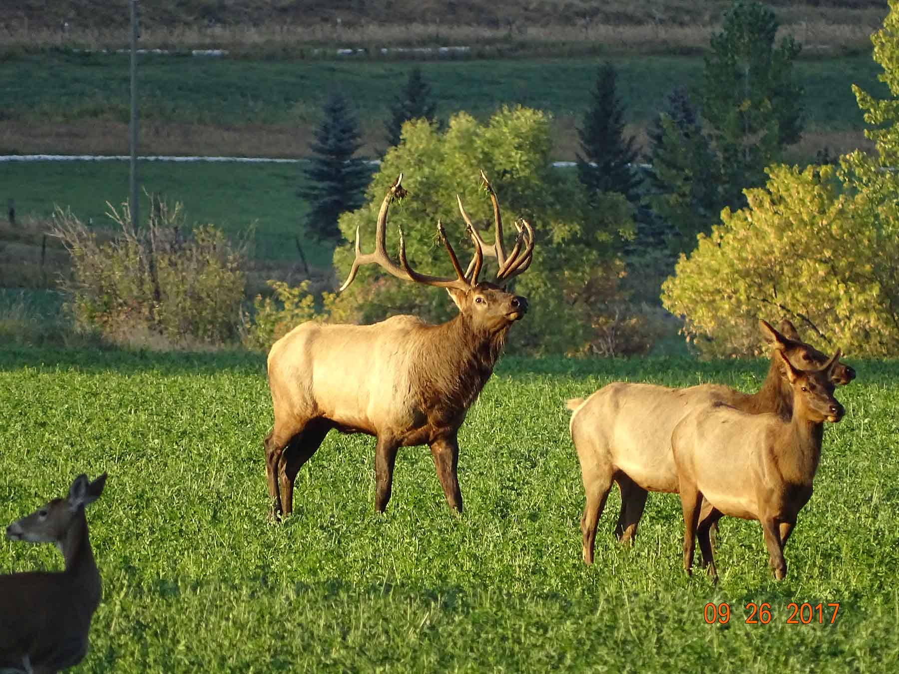 Beartooth Ranch property picture 10 of 86
