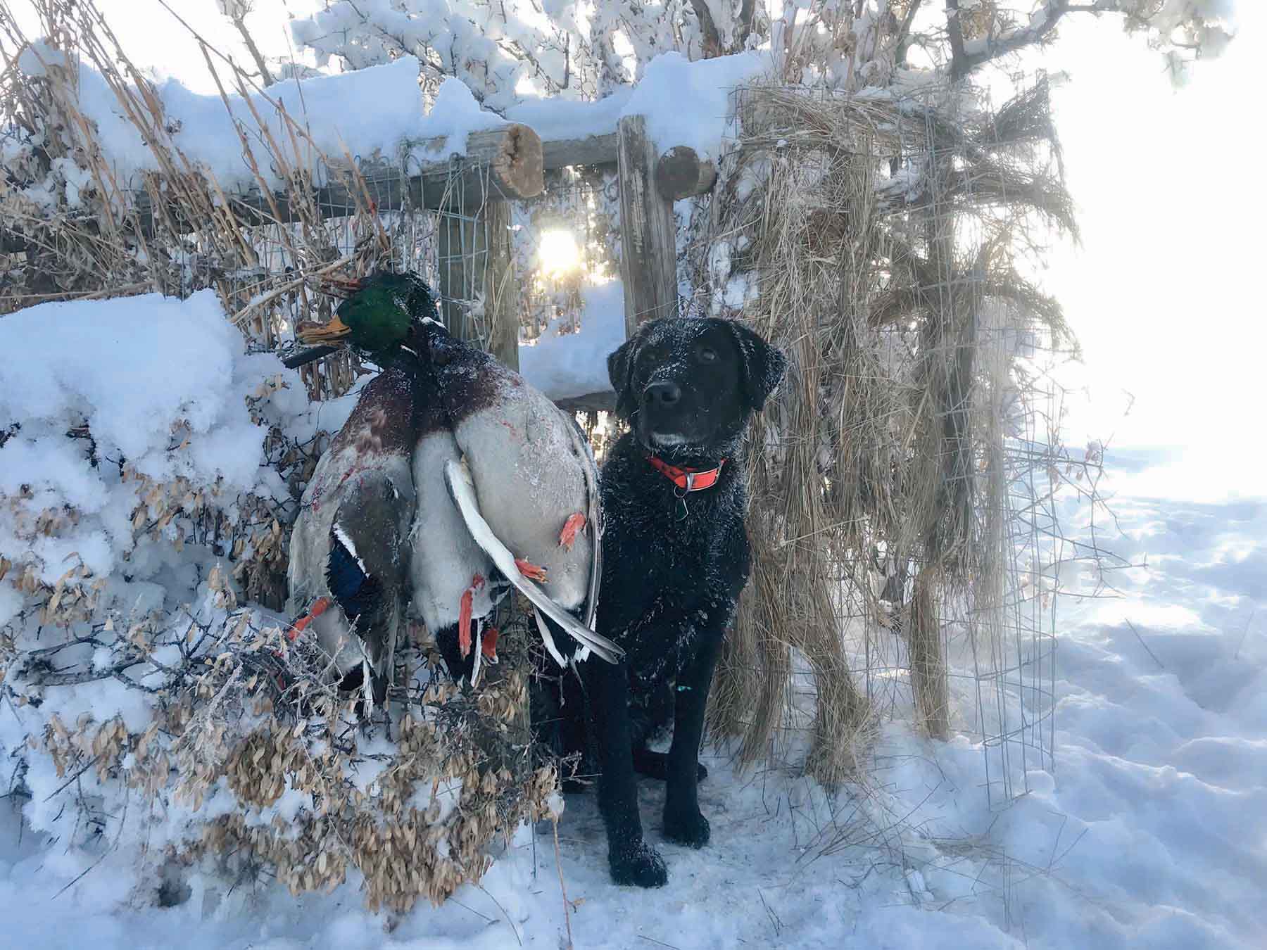 Rey Spring Creek Ranch property picture 28 of 30