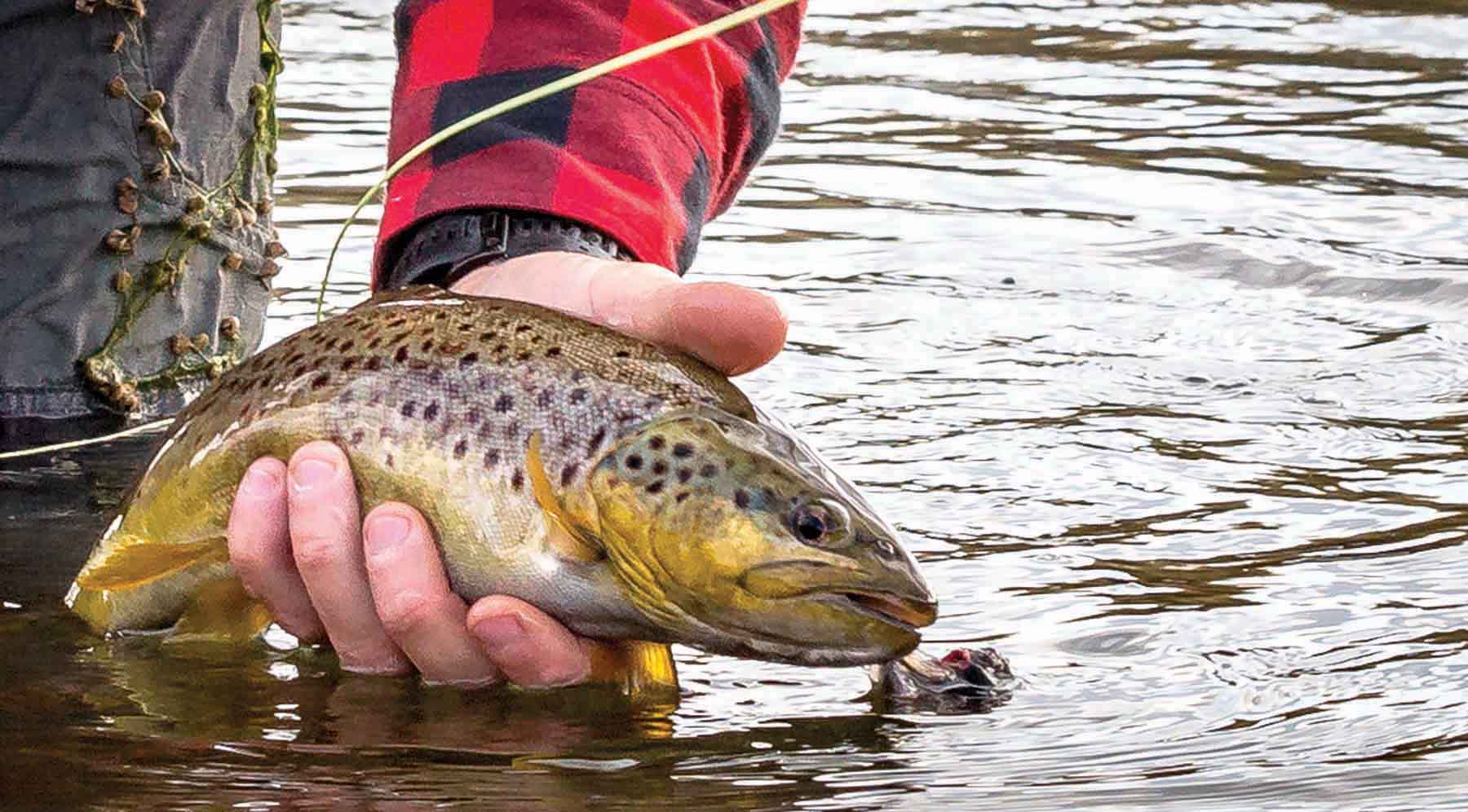 Rey Spring Creek Ranch property picture 29 of 30