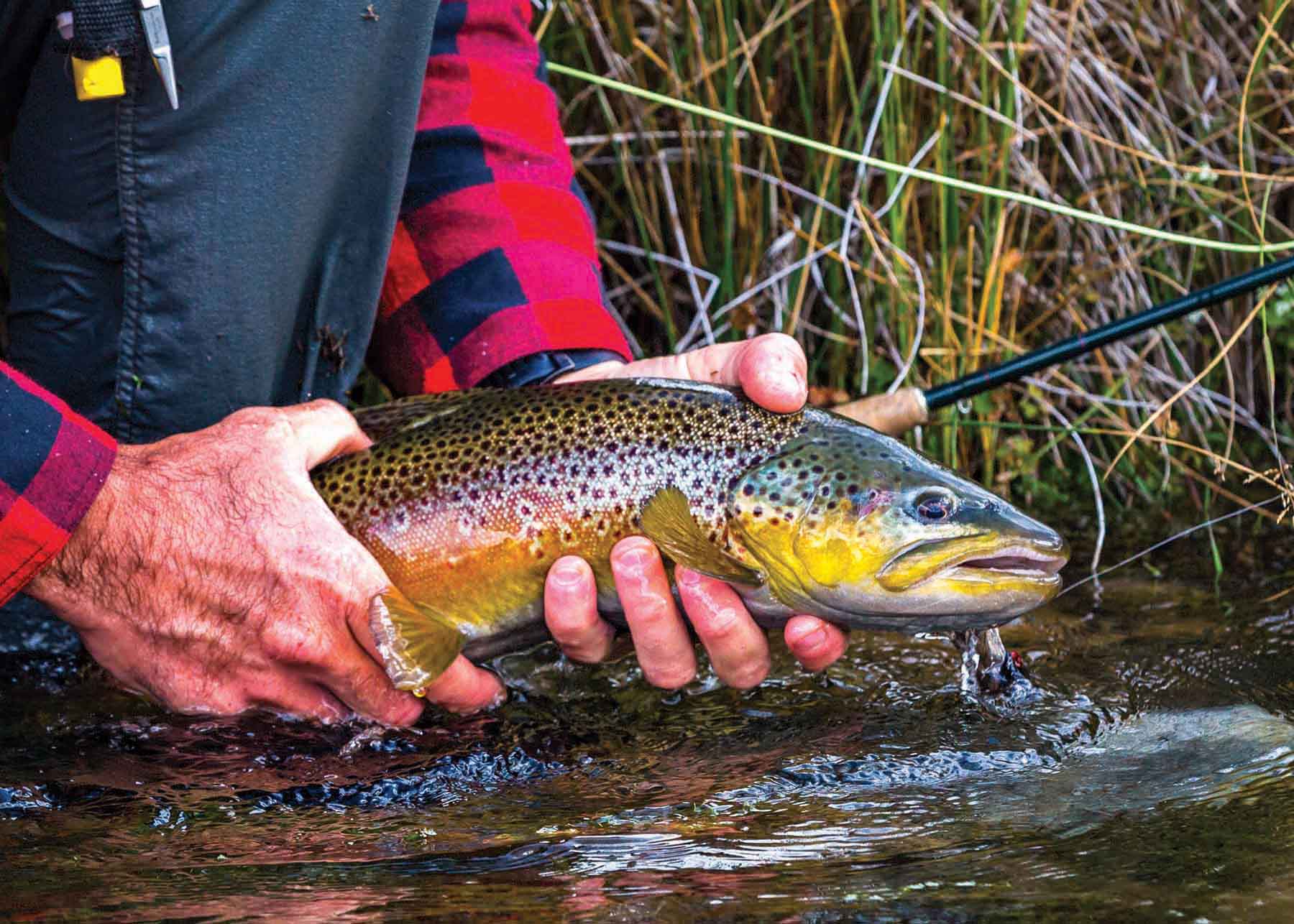 Rey Spring Creek Ranch property picture 6 of 30