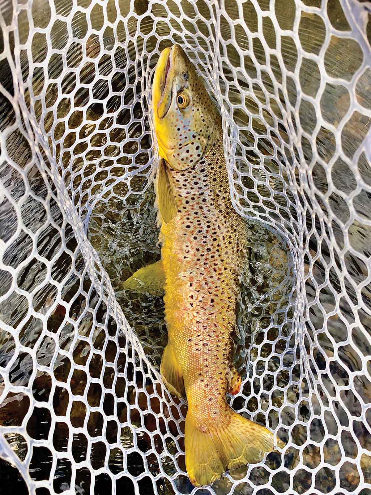 Rey Spring Creek Ranch property picture 20 of 30