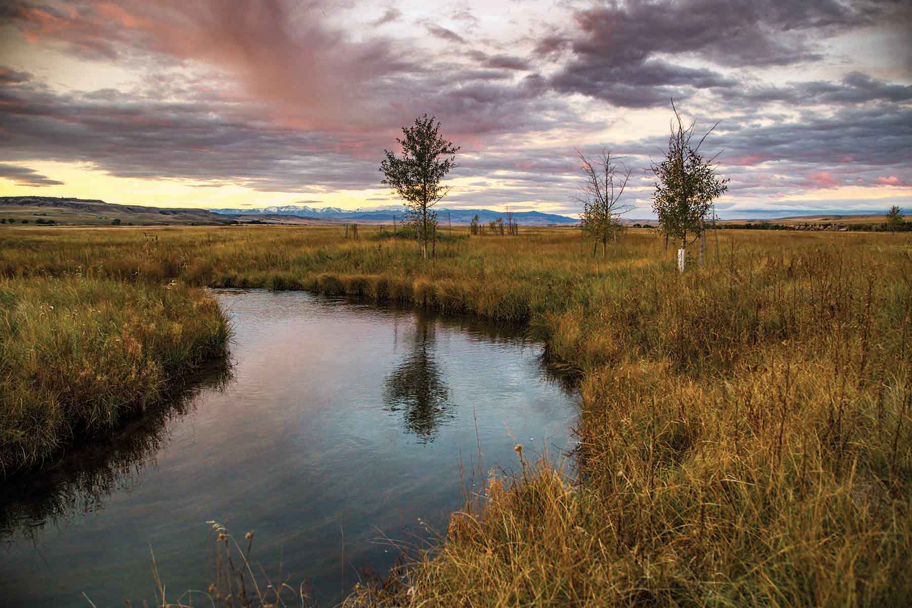 Rey Spring Creek Ranch property picture 10 of 30