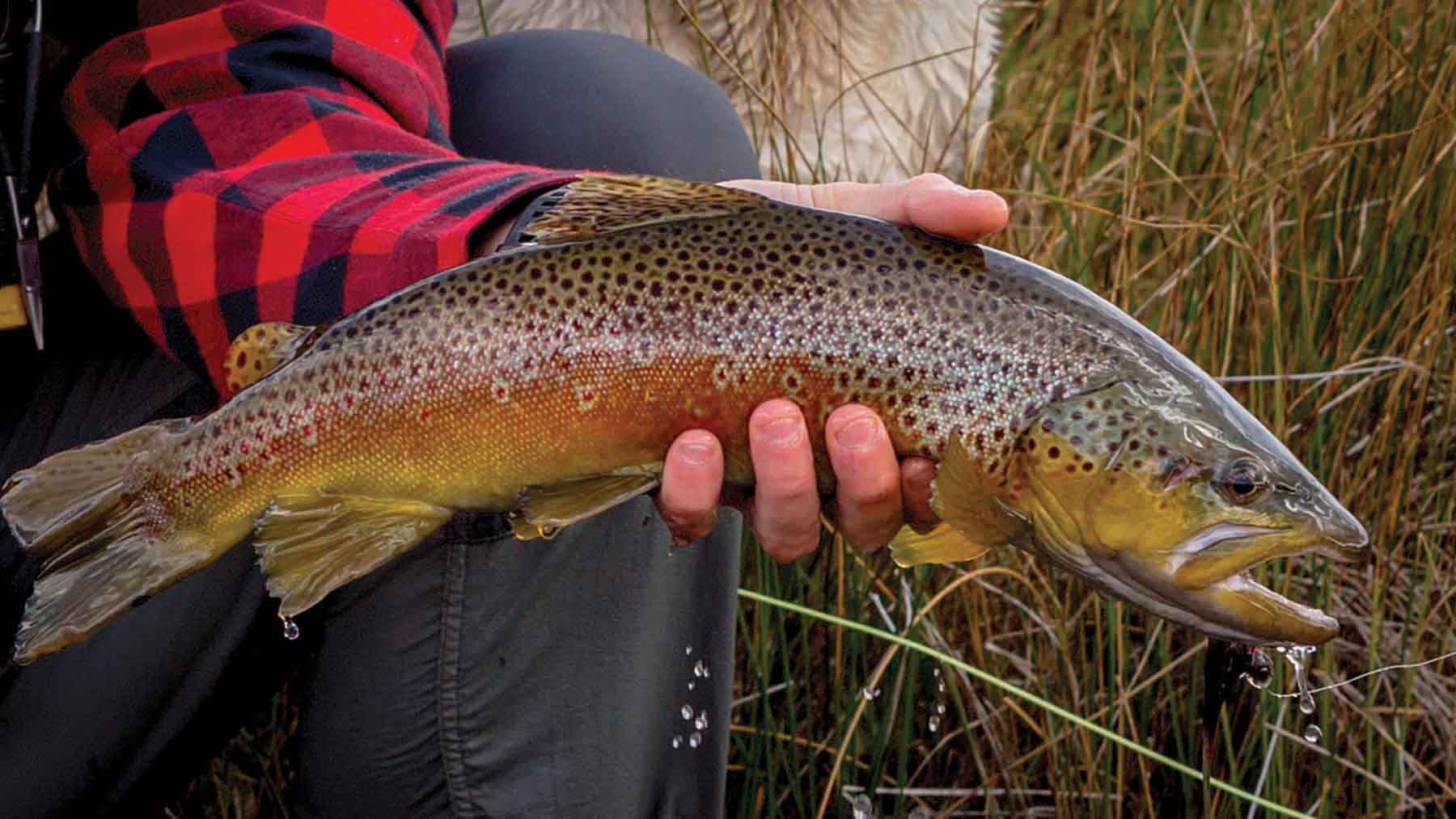 Rey Spring Creek Ranch property picture 23 of 30