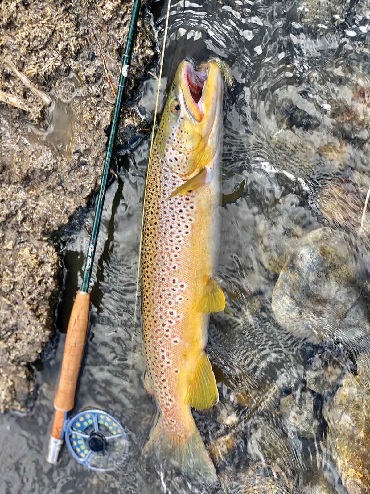 Rey Spring Creek Ranch property picture 30 of 30