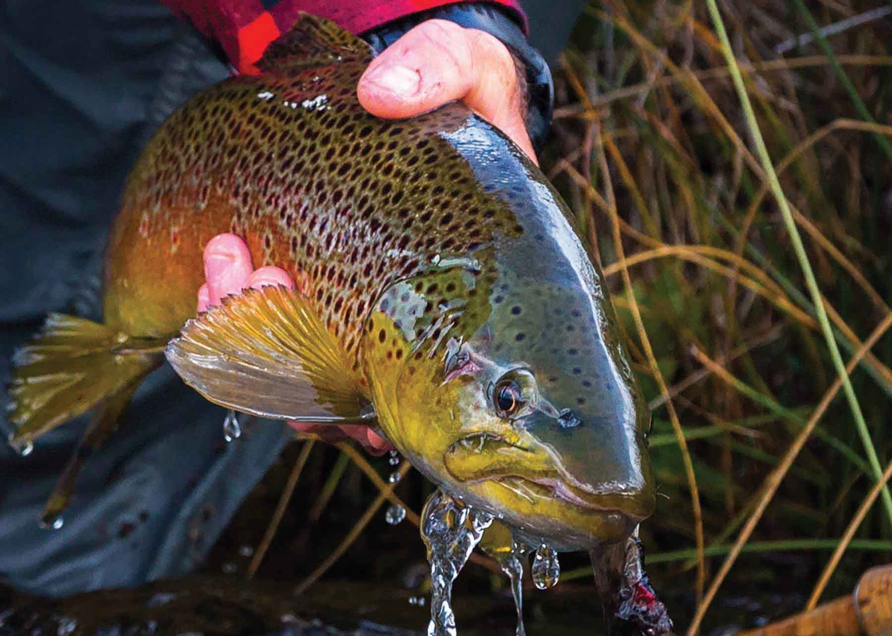 Rey Spring Creek Ranch property picture 13 of 30