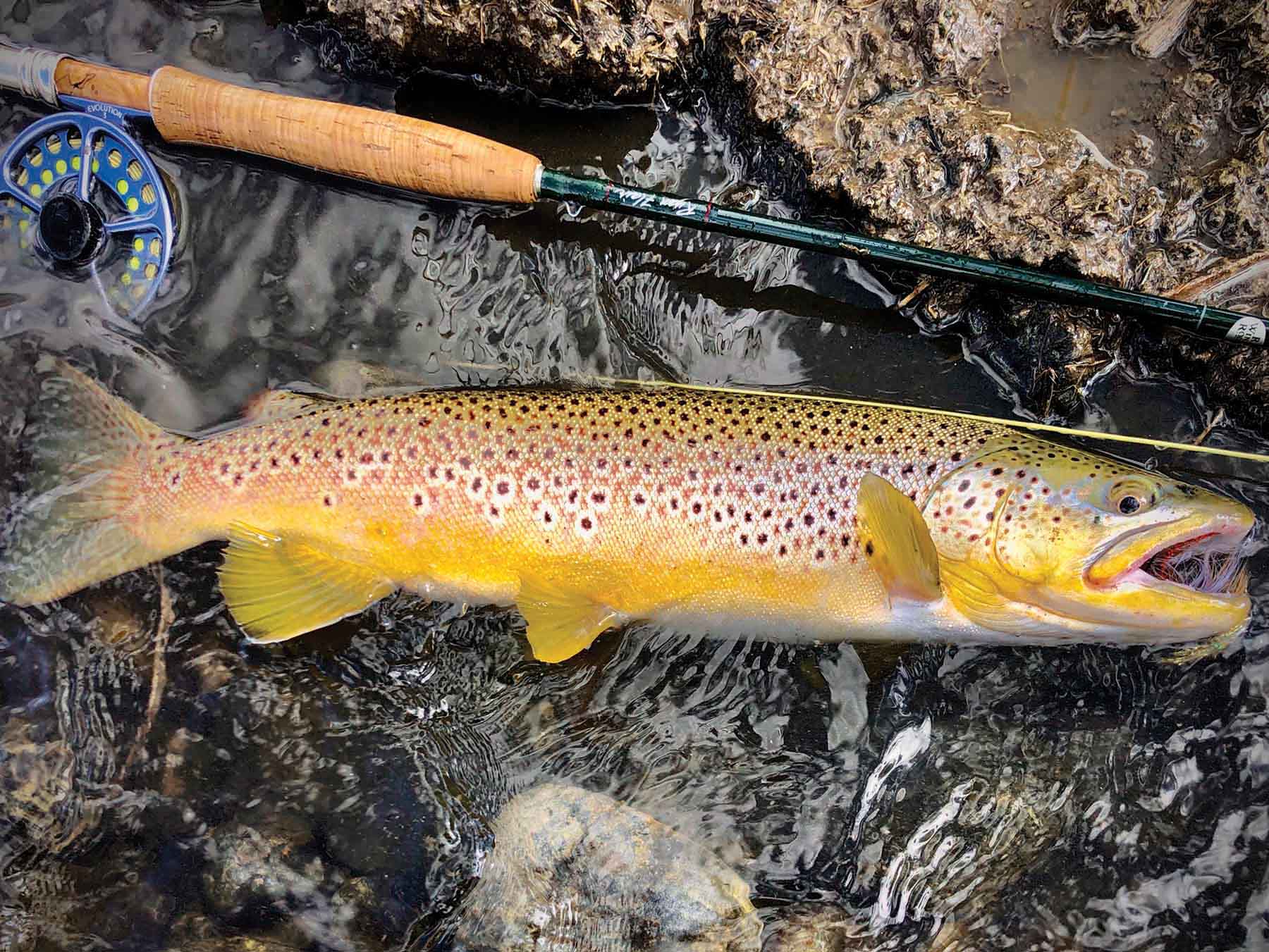 Rey Spring Creek Ranch property picture 15 of 30