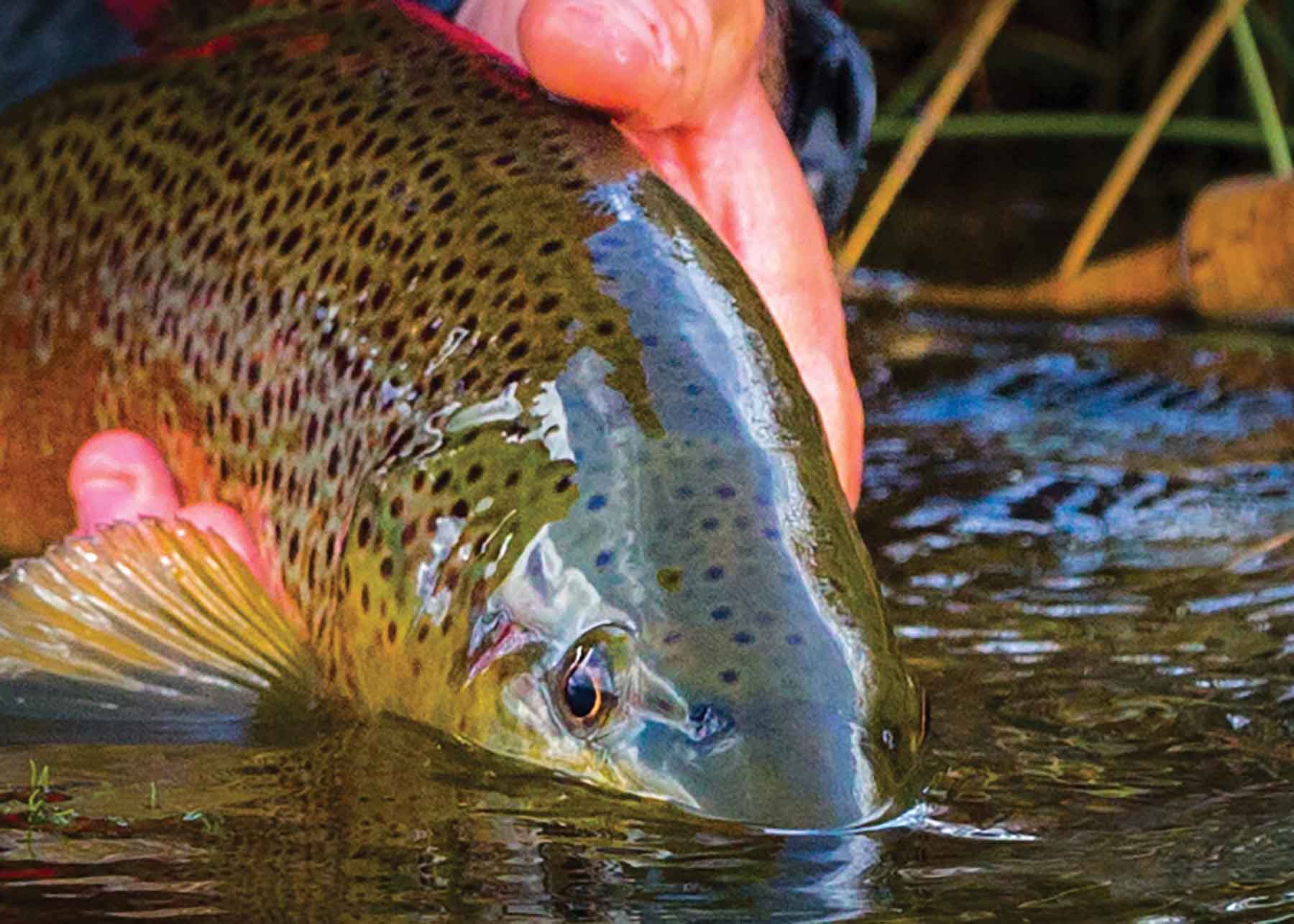 Rey Spring Creek Ranch property picture 7 of 30