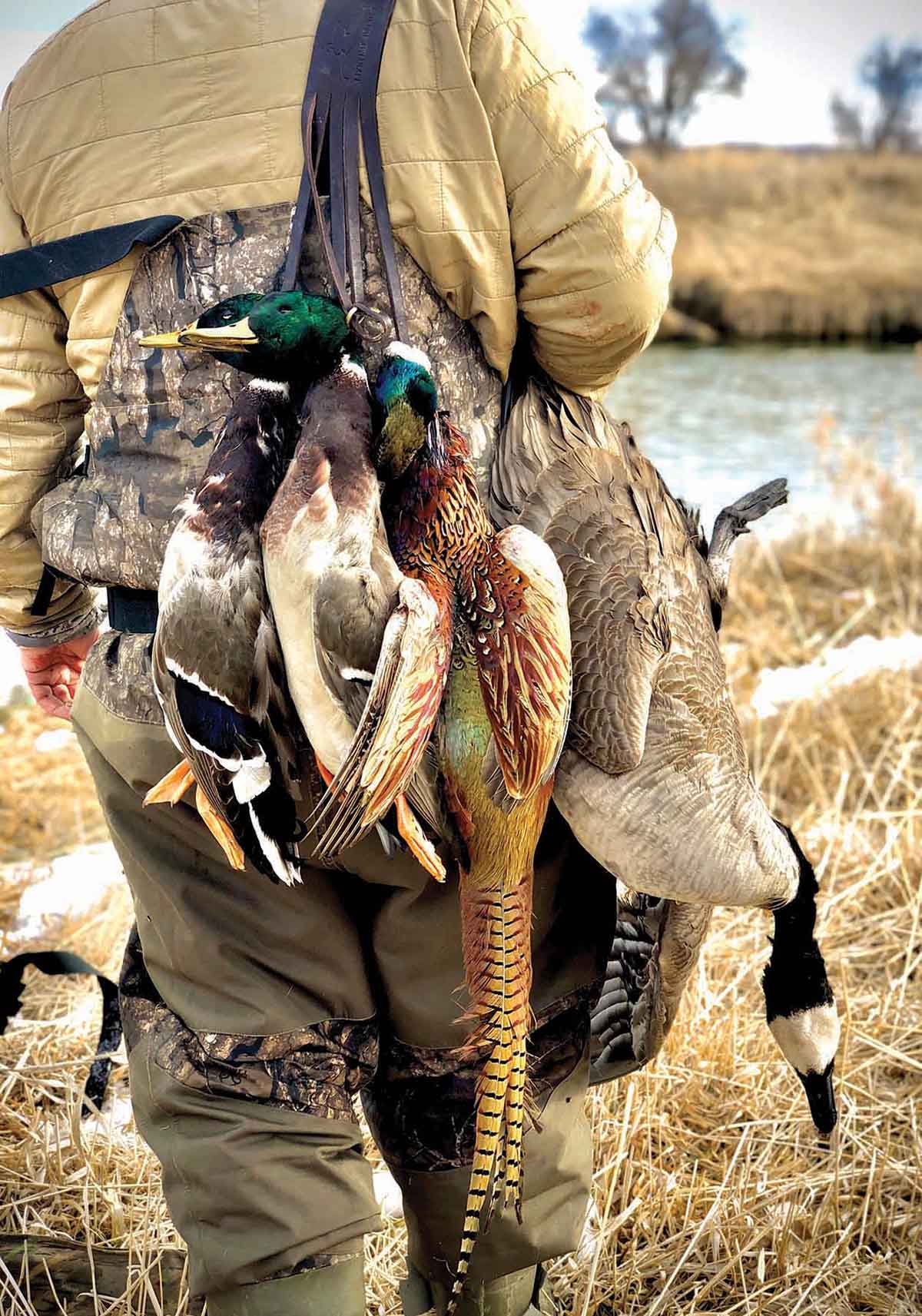 Rey Spring Creek Ranch property picture 27 of 30