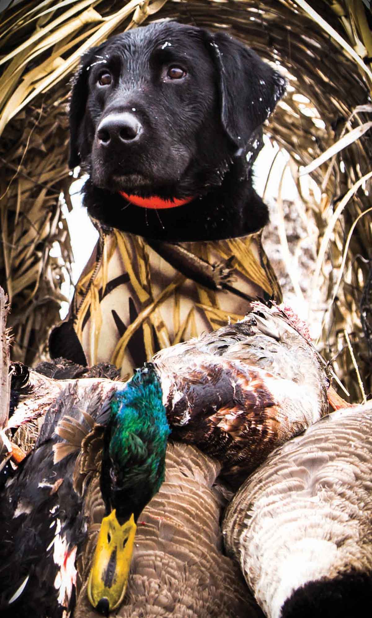 Rey Spring Creek Ranch property picture 26 of 30